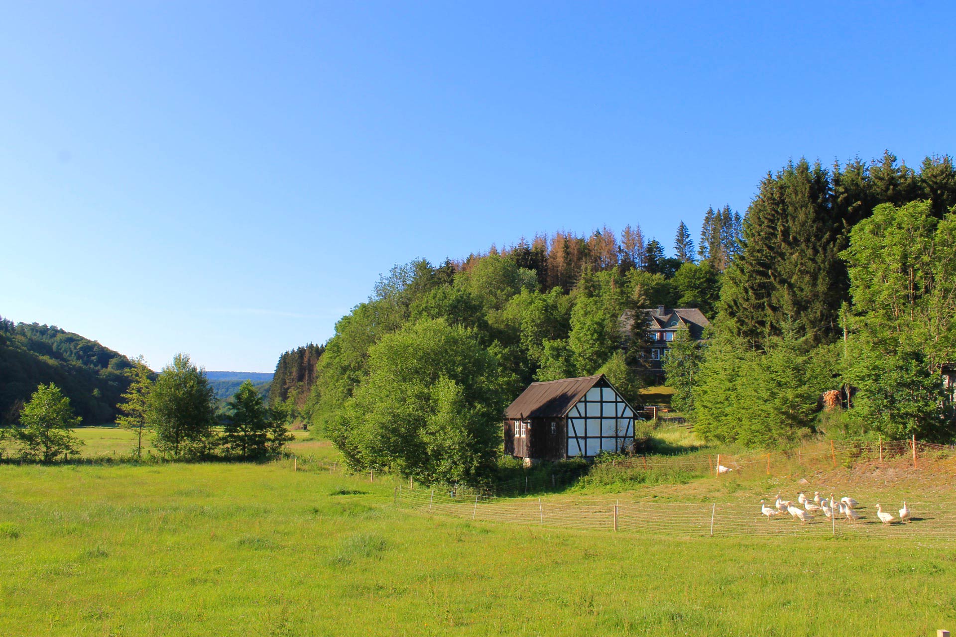 Maison nature à Bad Berleburg