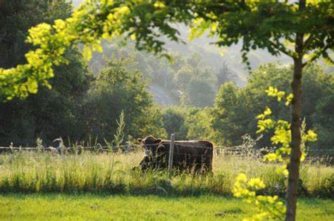 Maison nature à Mauroux