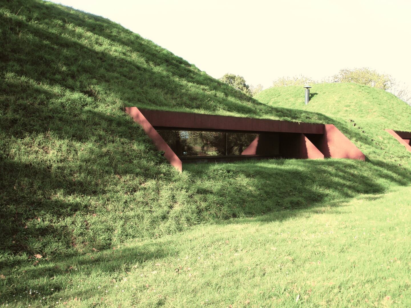 - image: 12