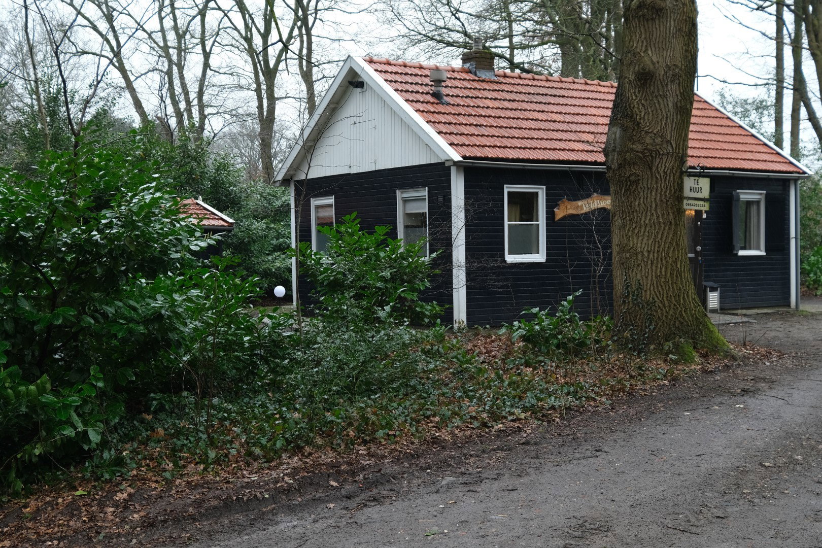 Natuurhuisje in Beerze