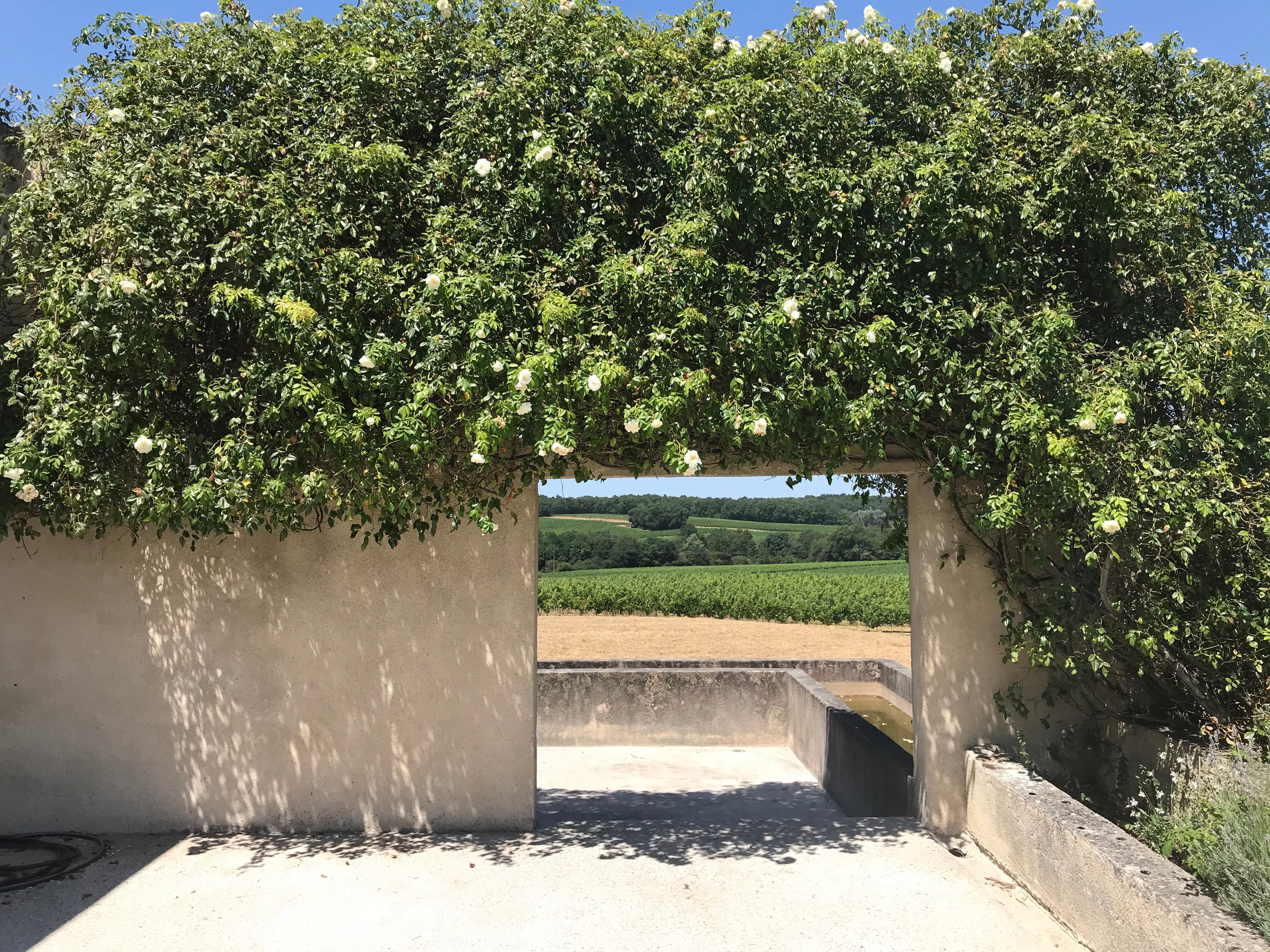Maison nature à Pellegrue