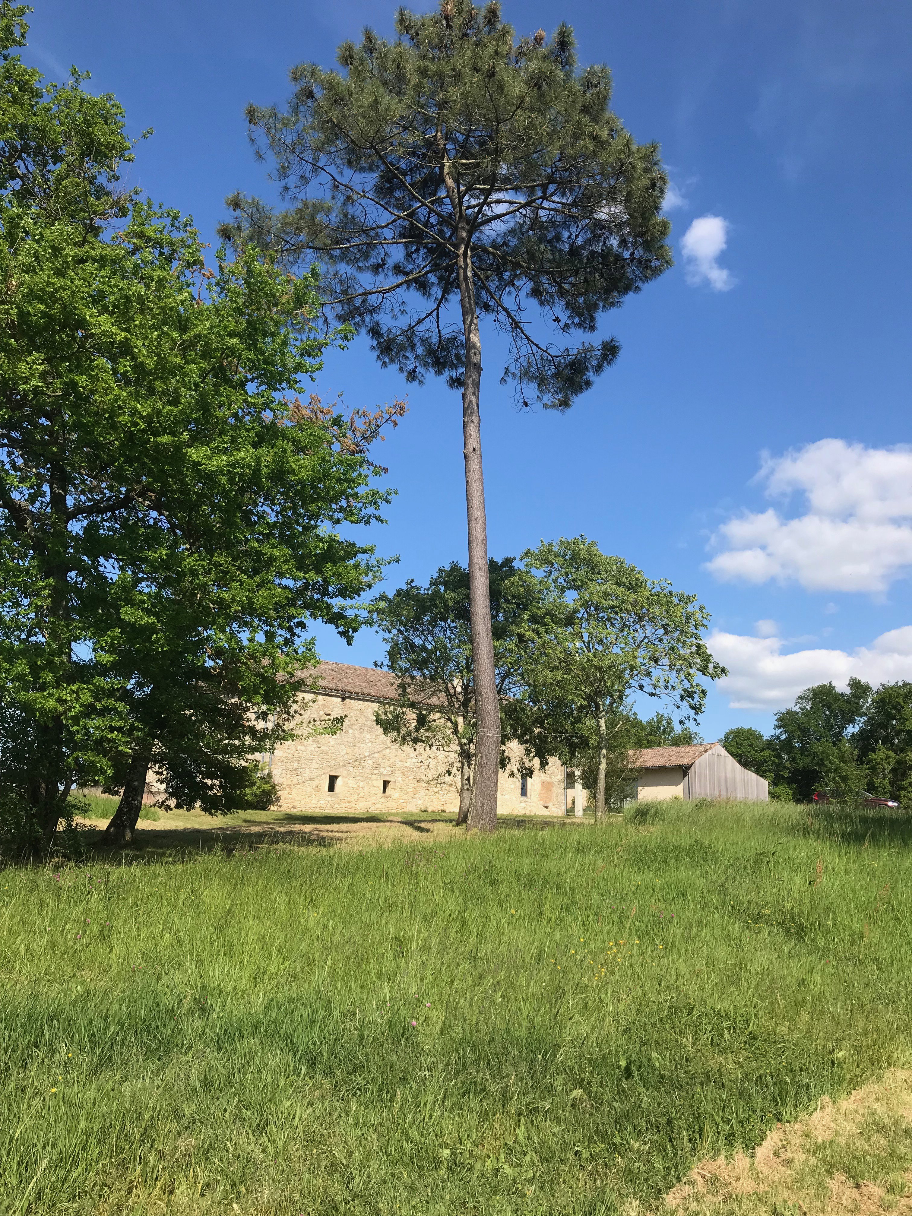 Maison nature à Pellegrue