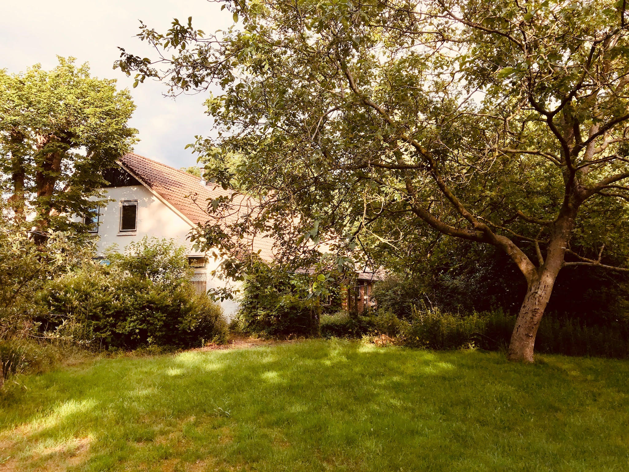 - image: 11