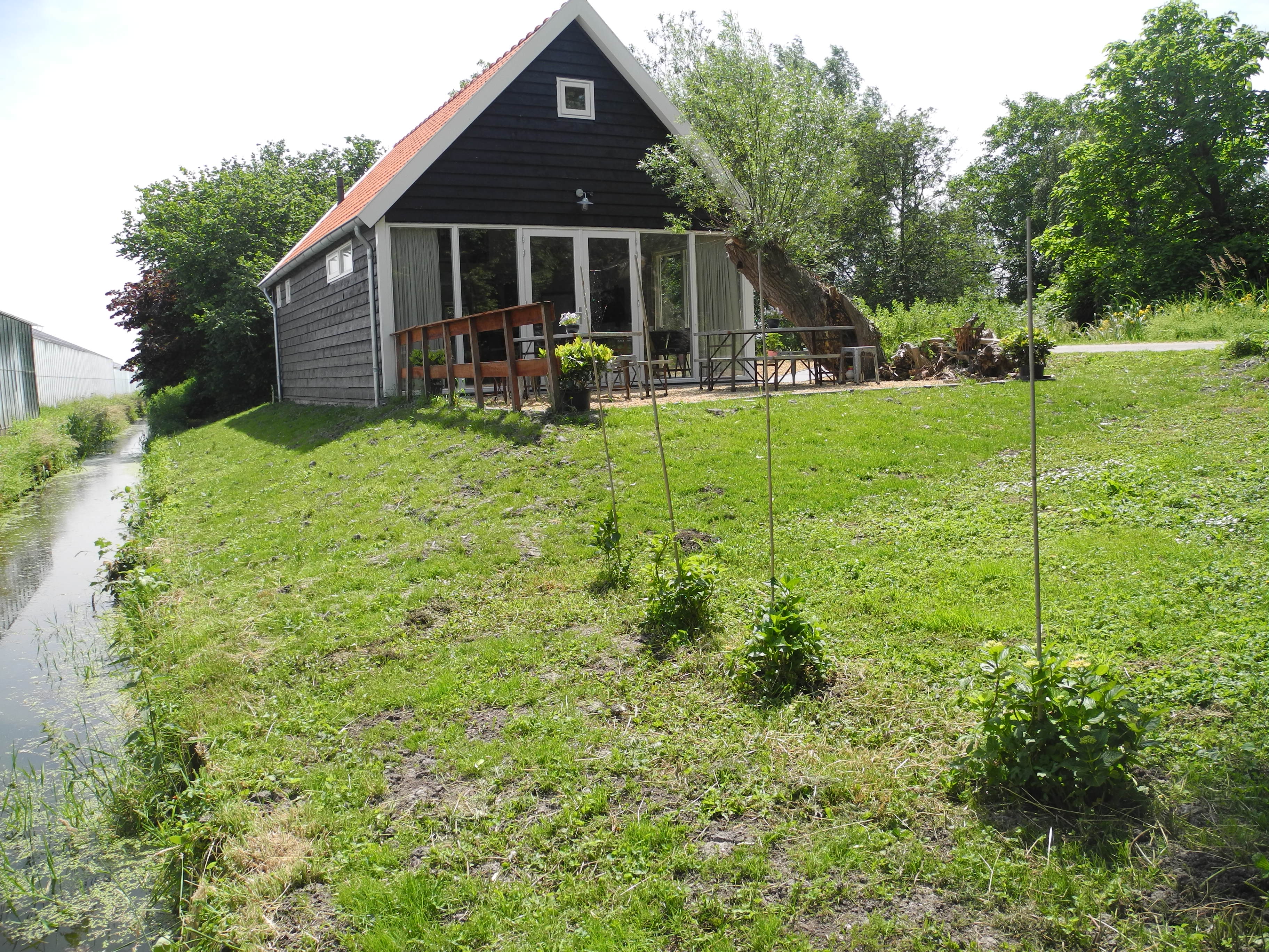 Maison nature à Nieuwveen