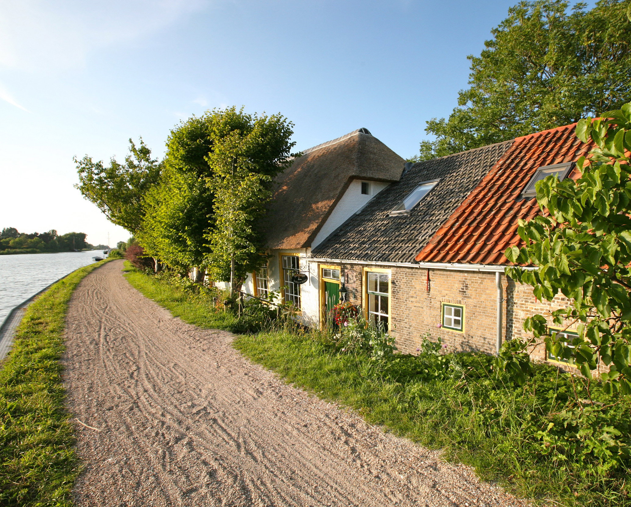 - image: 1