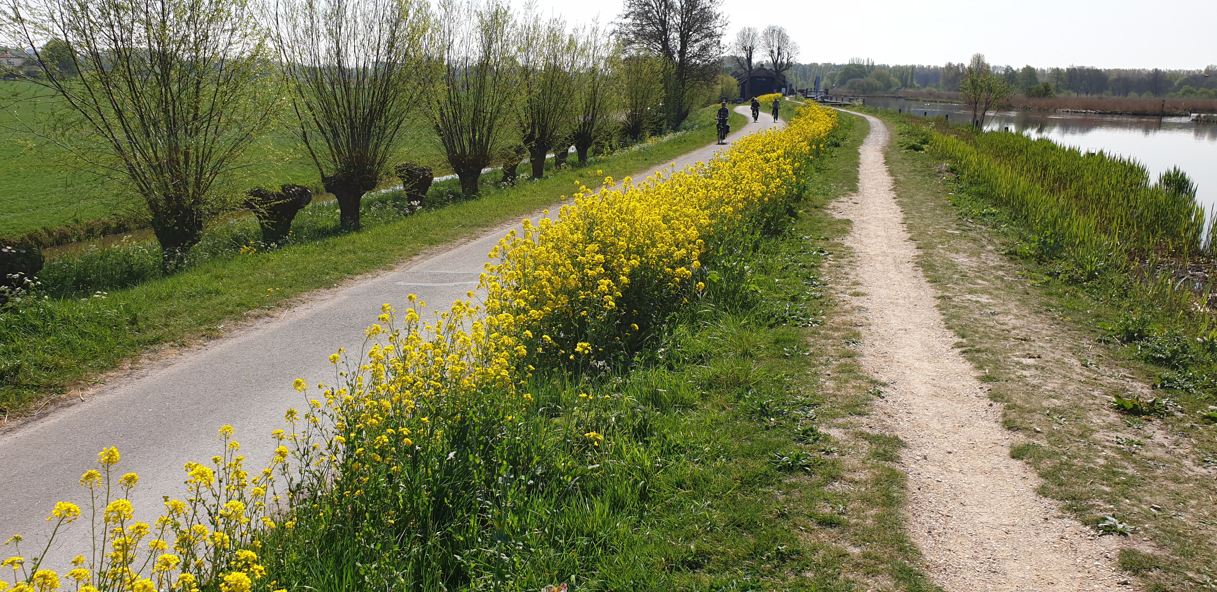 - image: 10