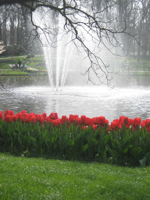 - image: 24