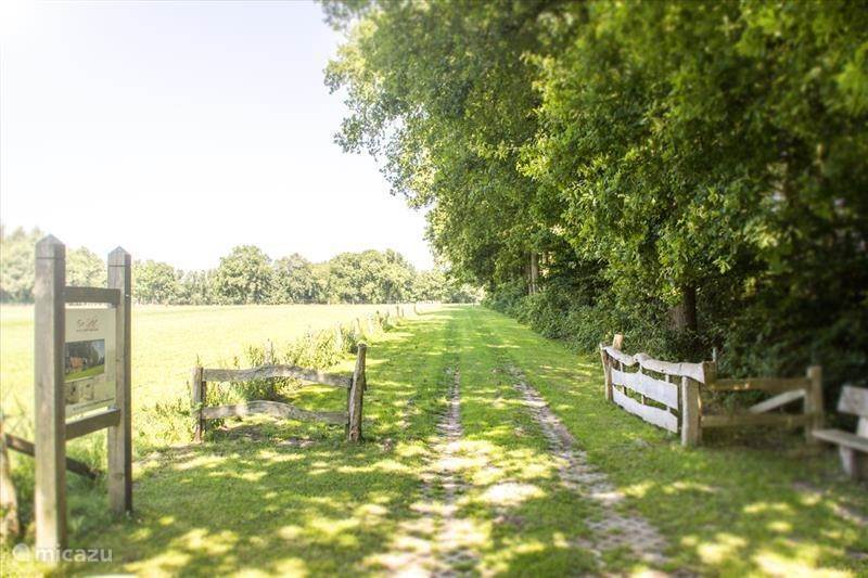 Naturhäuschen in Ootmarsum