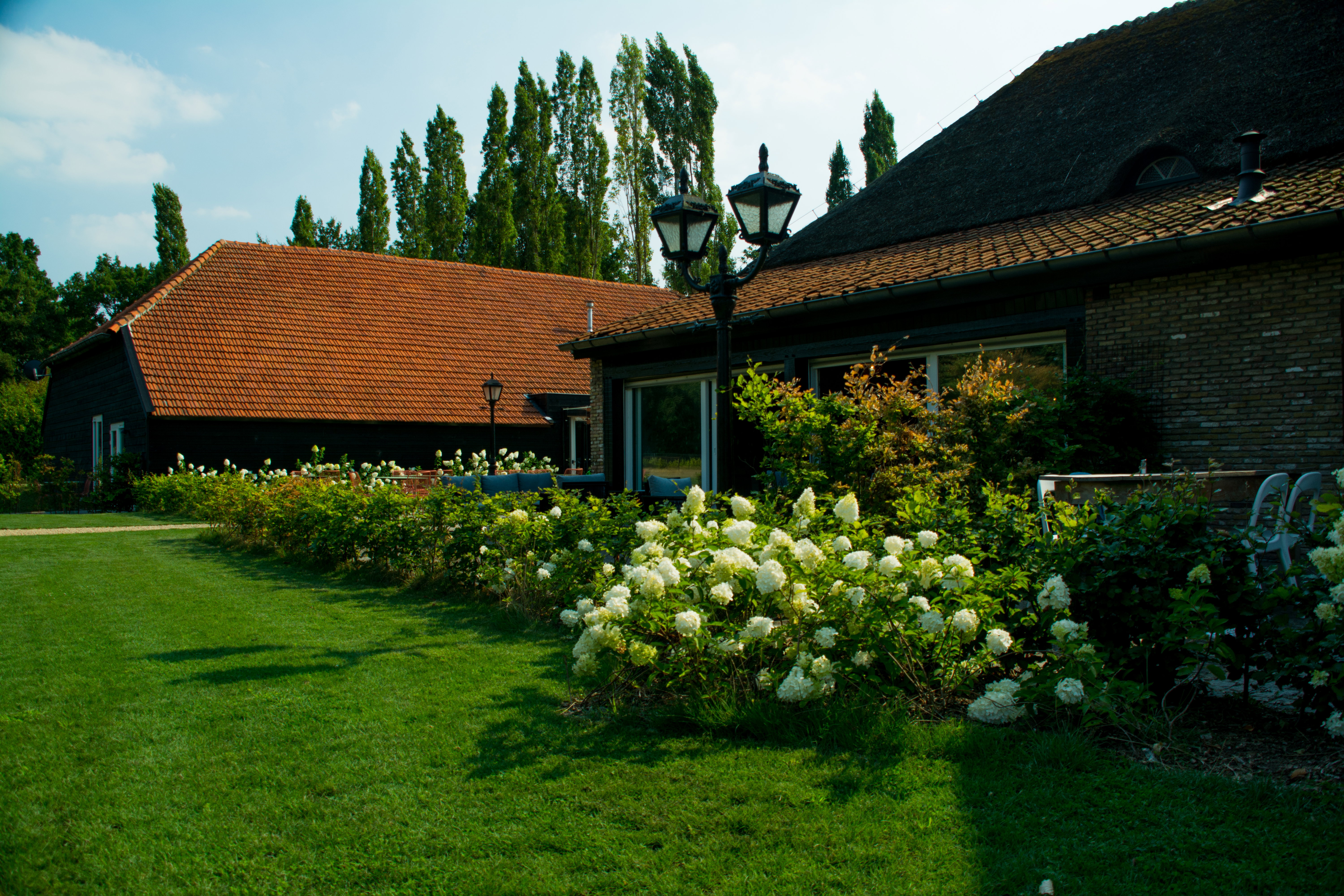 - image: 12