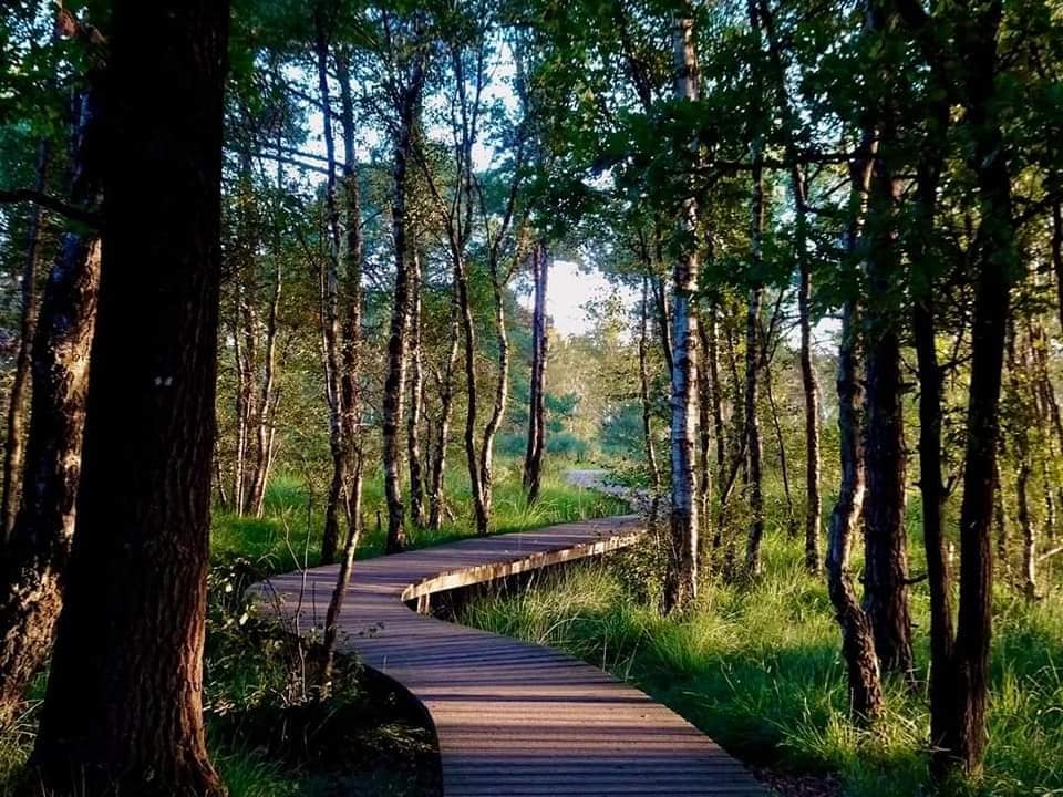 Casa nella natura a Hapert
