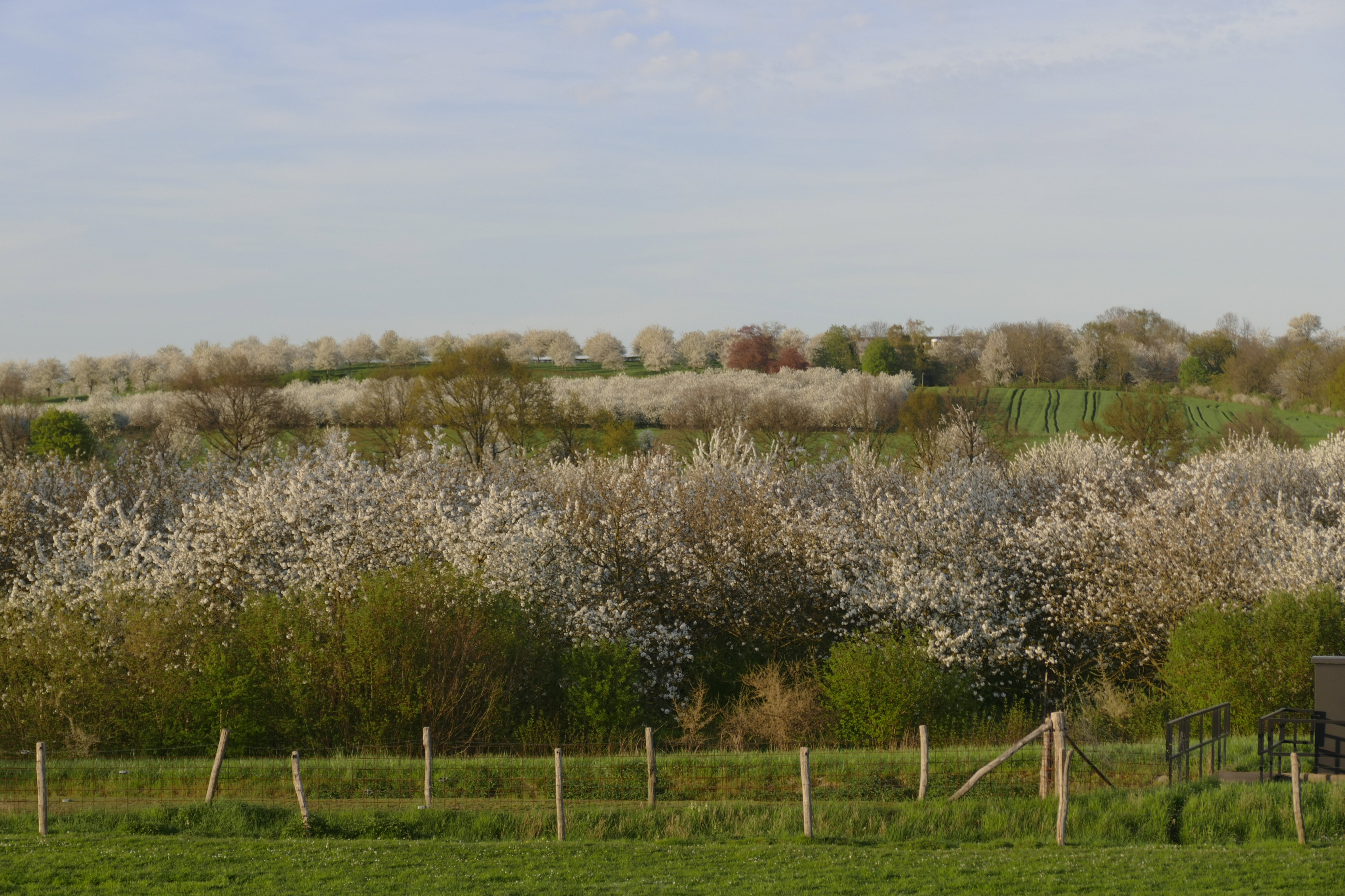 Naturhäuschen in Eijsden