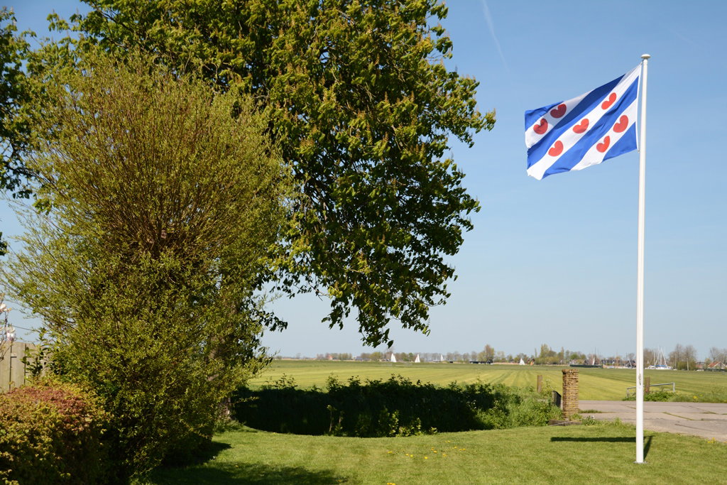 - image: 11