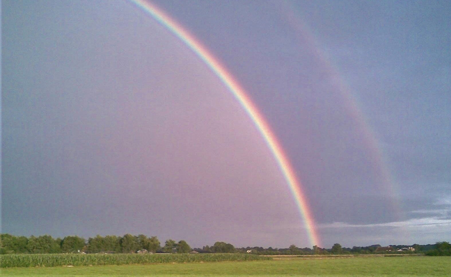 - image: 24