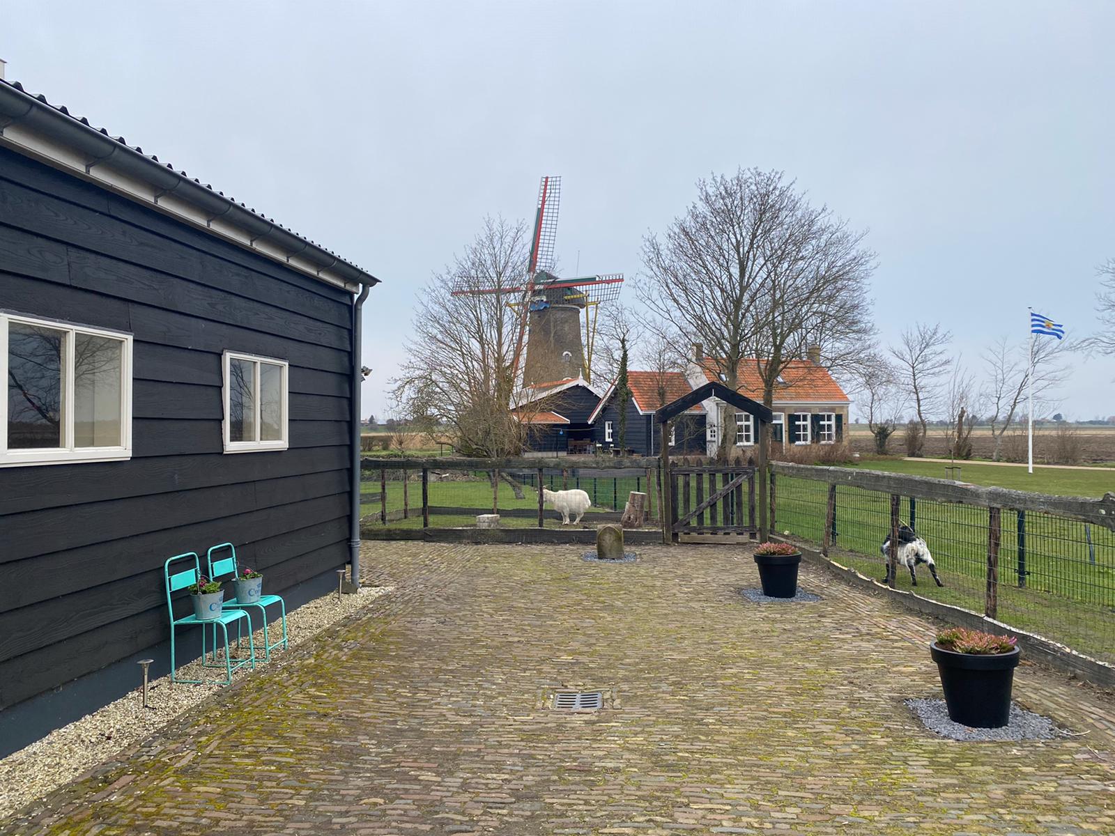 Maison nature à Zonnemaire