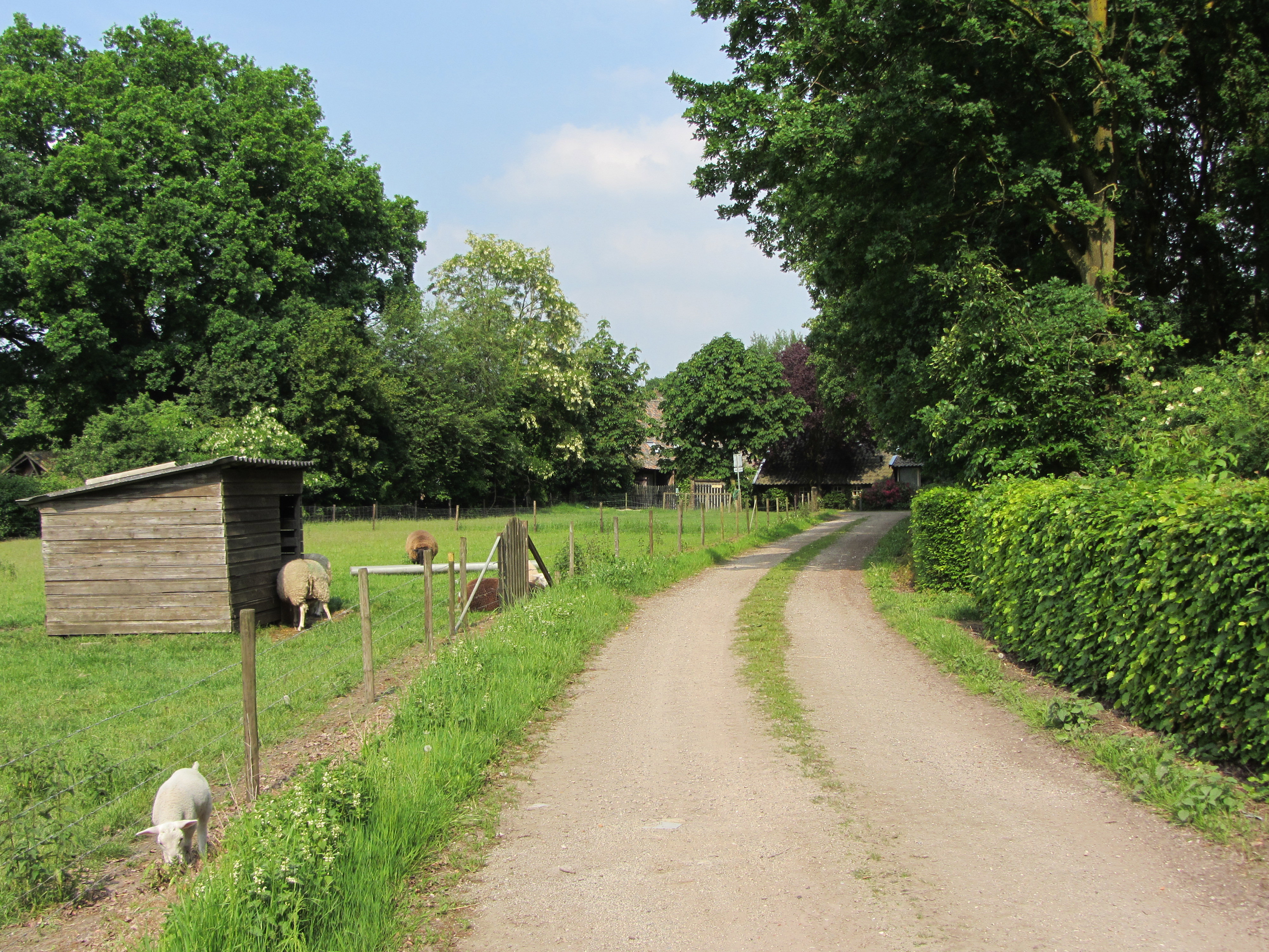 Maison nature à Sevenum
