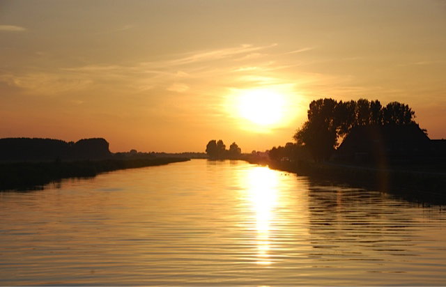 - image: 16