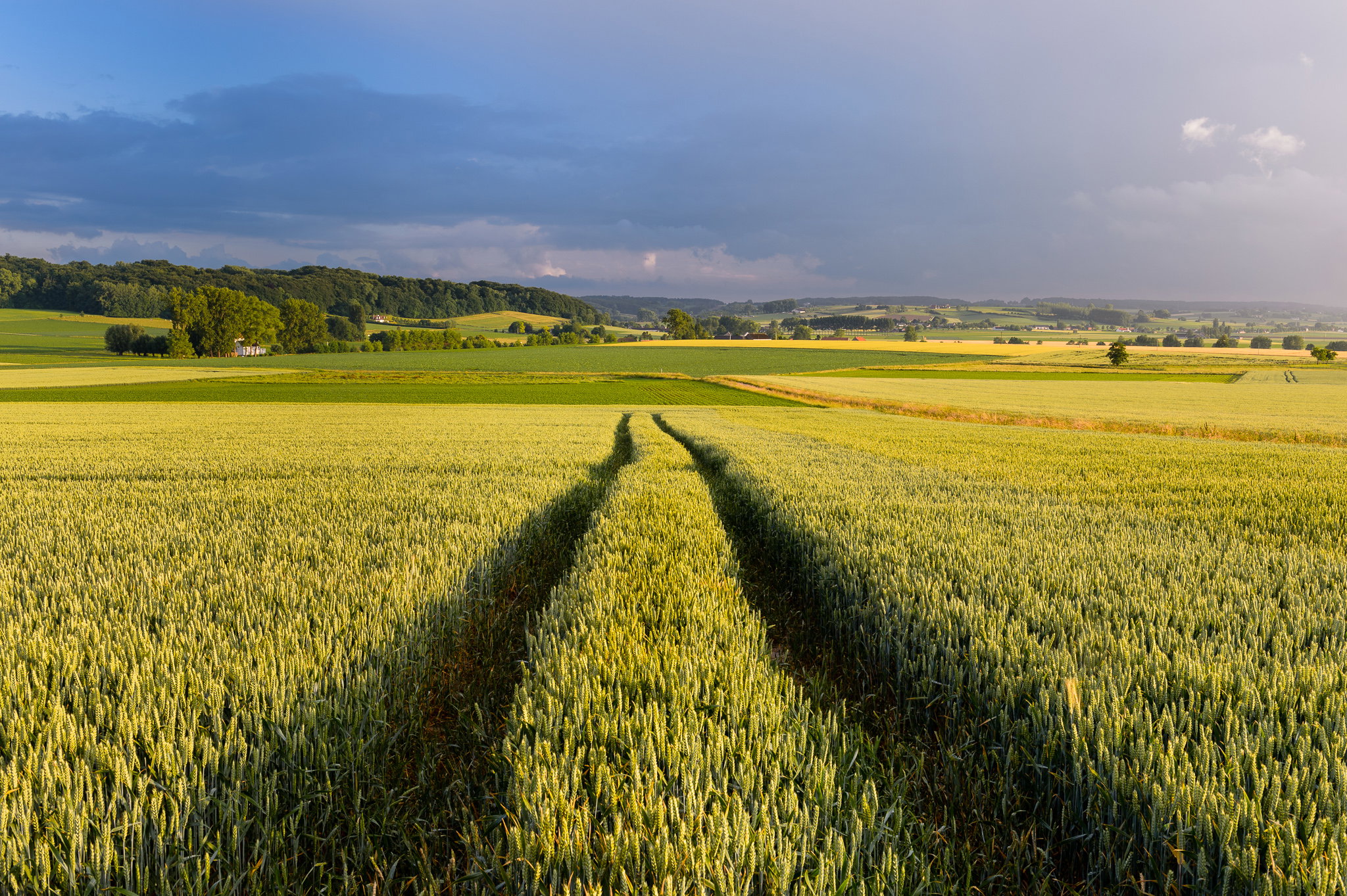 Naturhäuschen in Oudenaarde