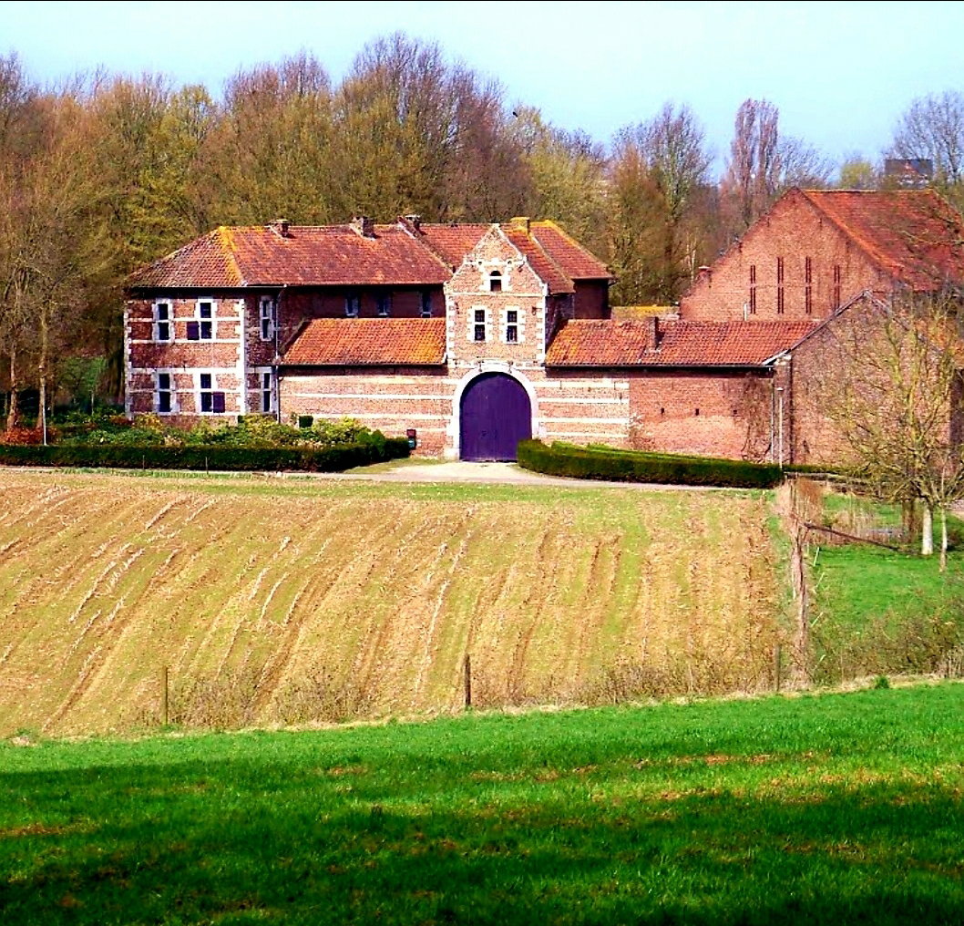 - image: 26