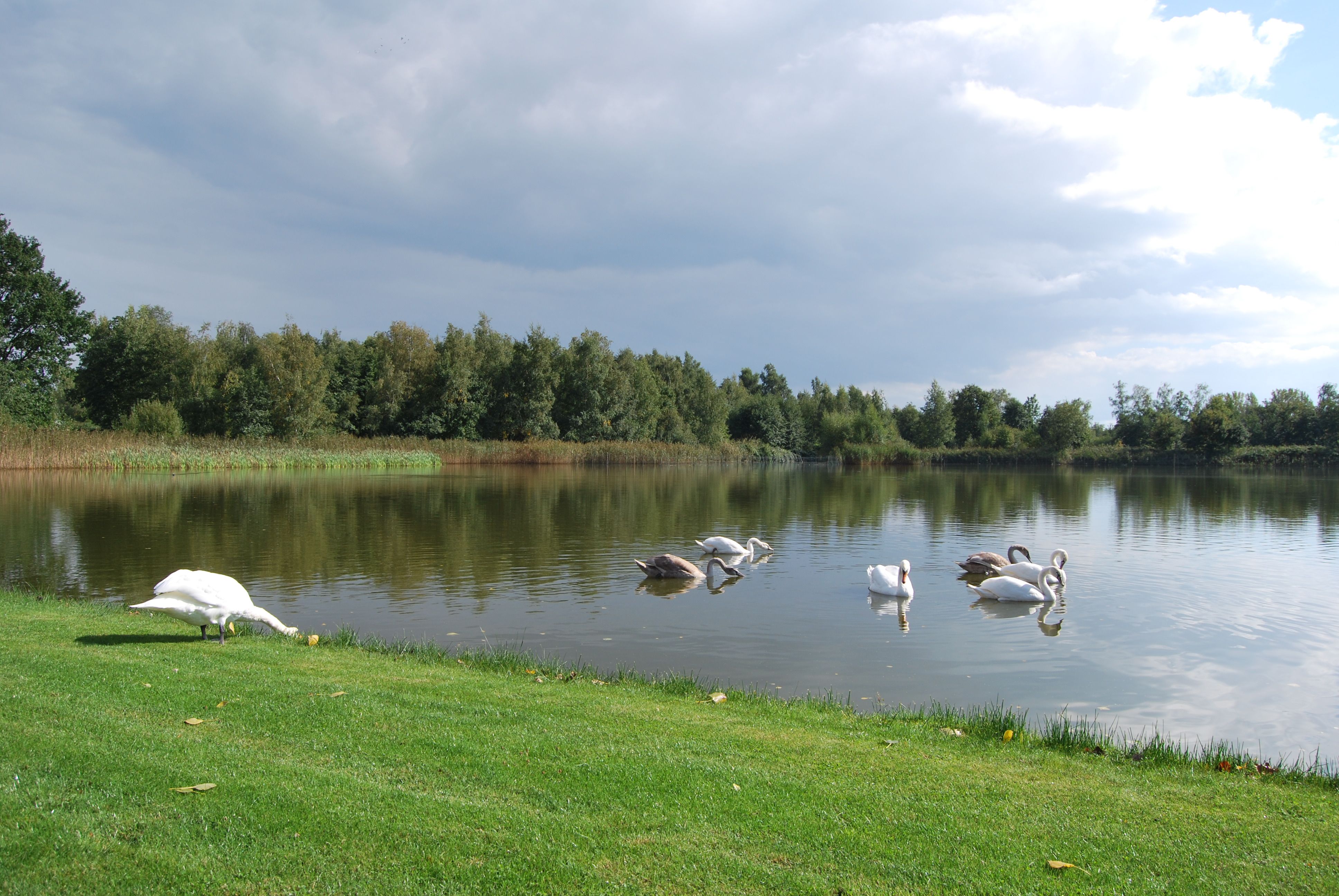 - image: 12