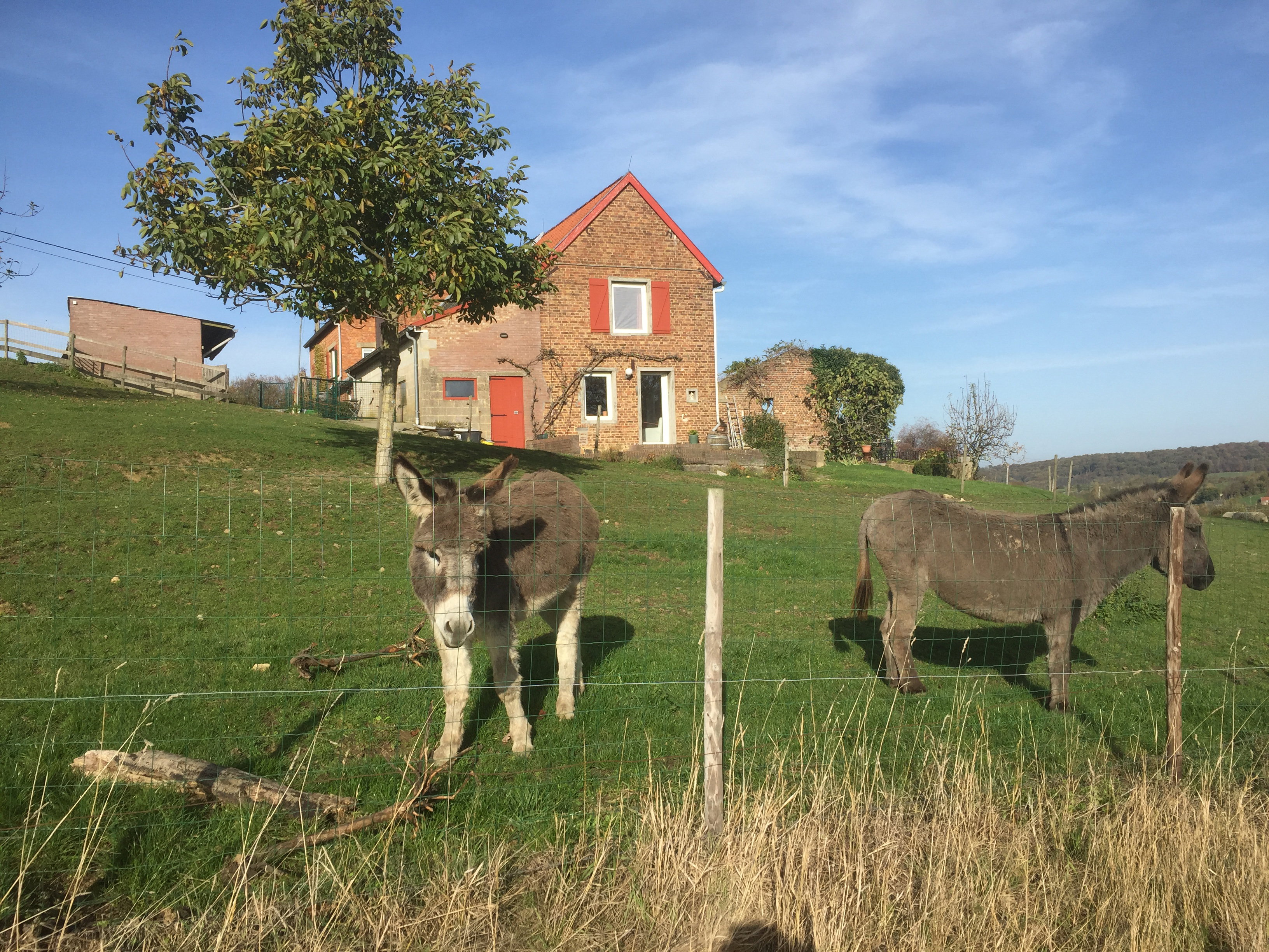 Natuurhuisje in Sint Pieters Voeren