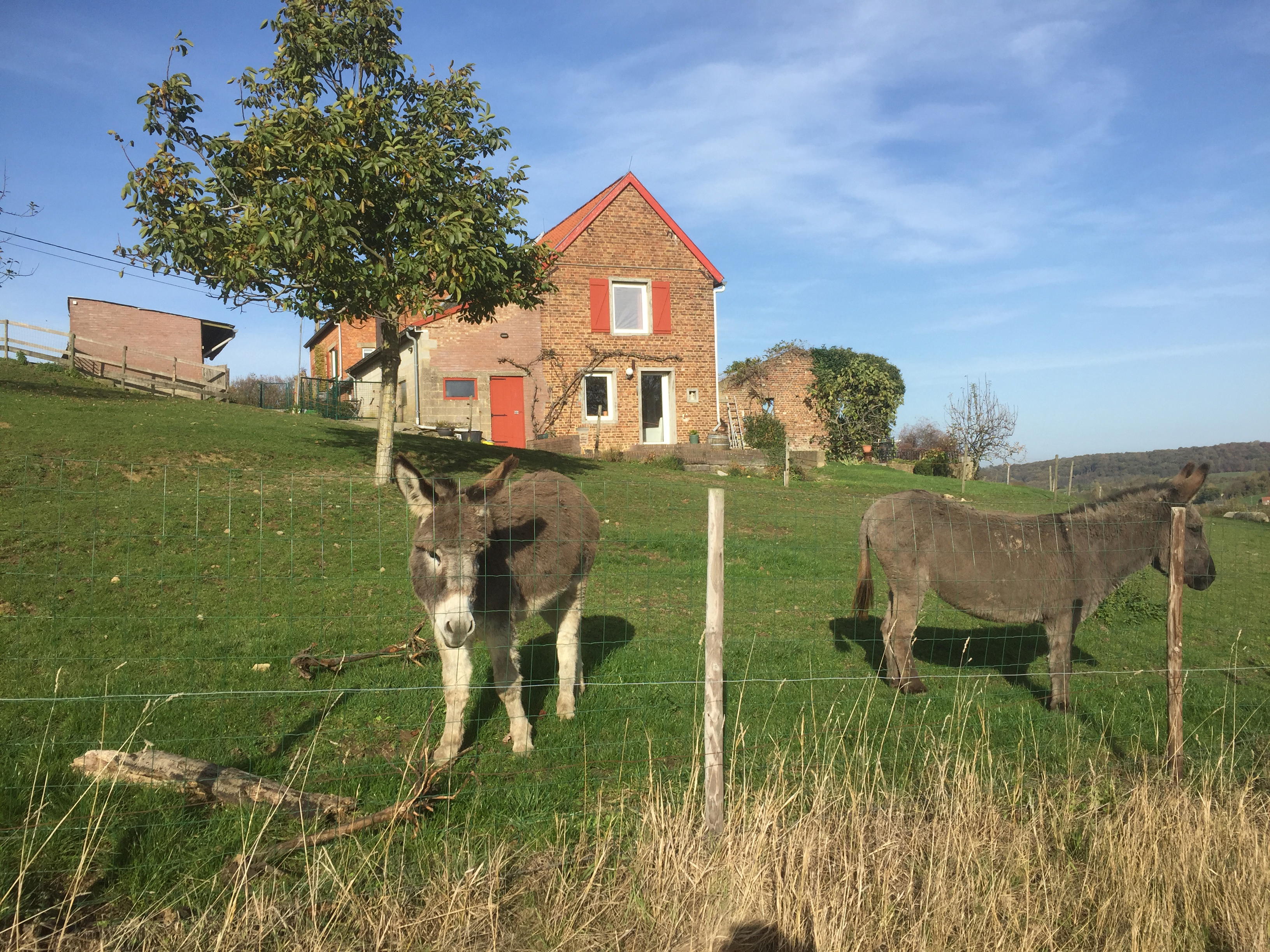 Natuurhuisje in Sint Pieters Voeren