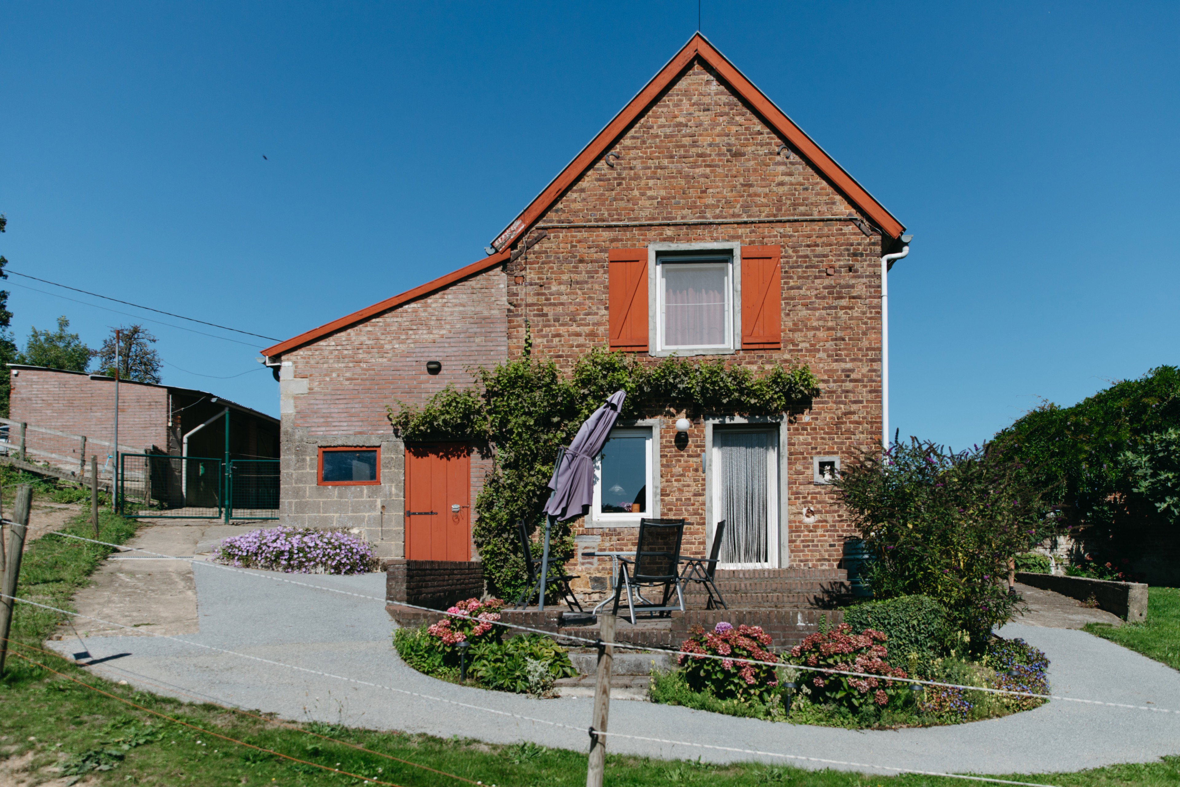 - image: 11
