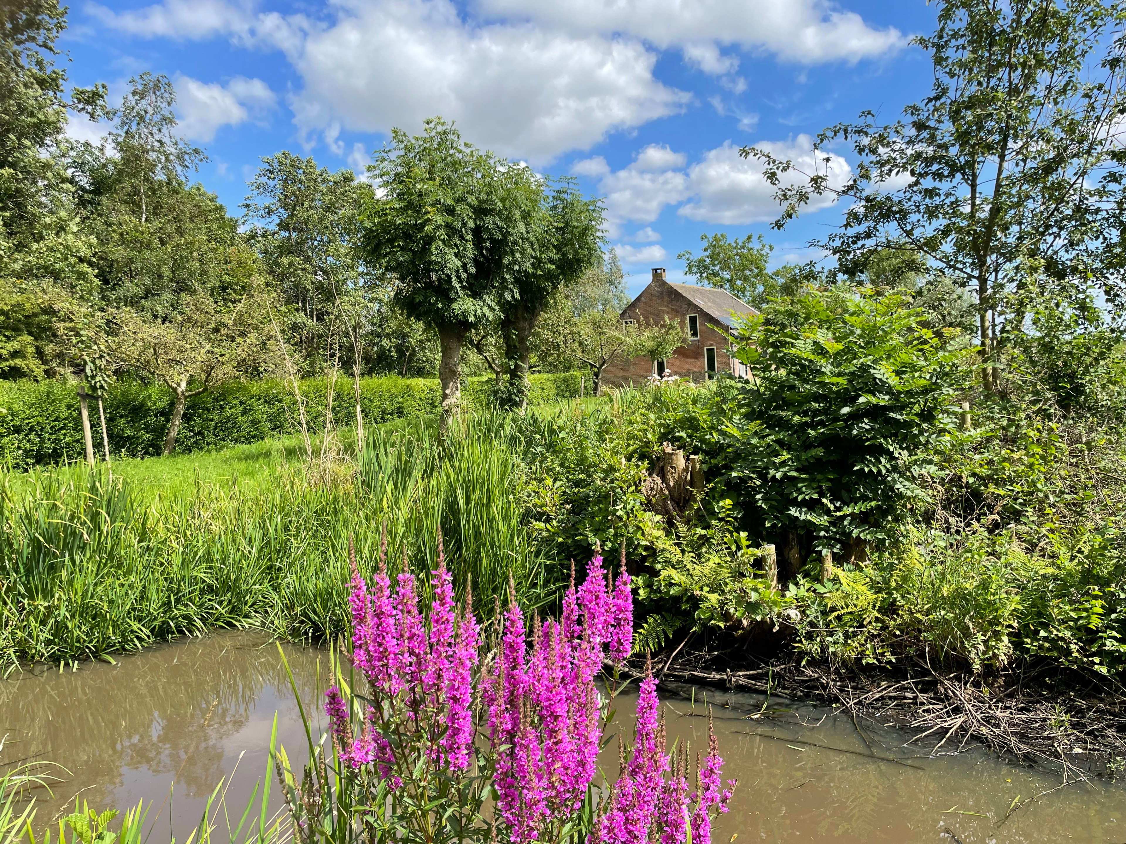 Natuurhuisje in Brandwijk