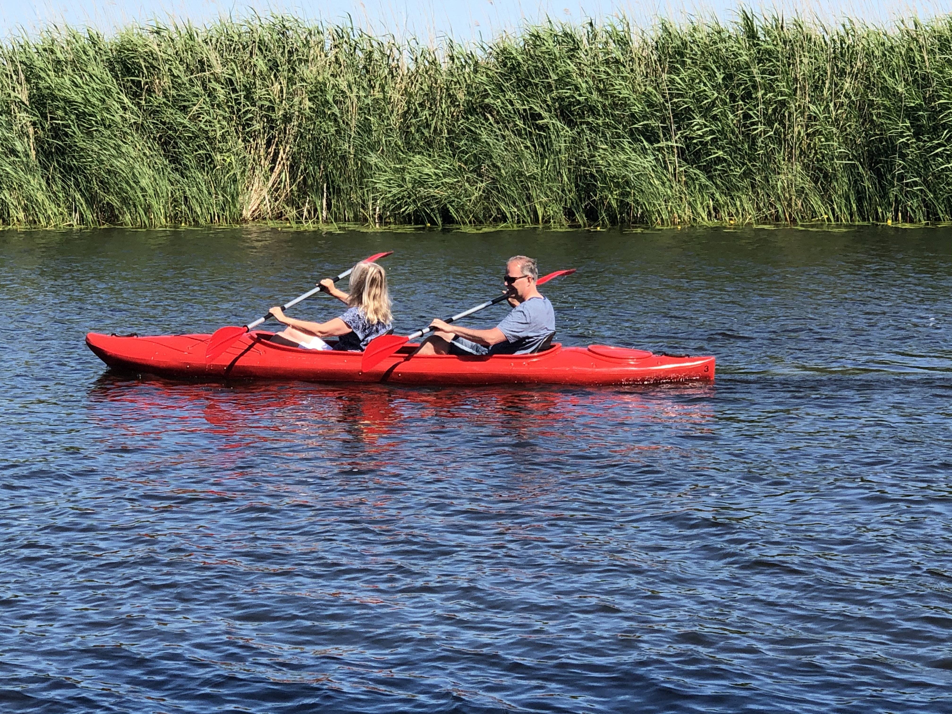 Natuurhuisje in Brandwijk