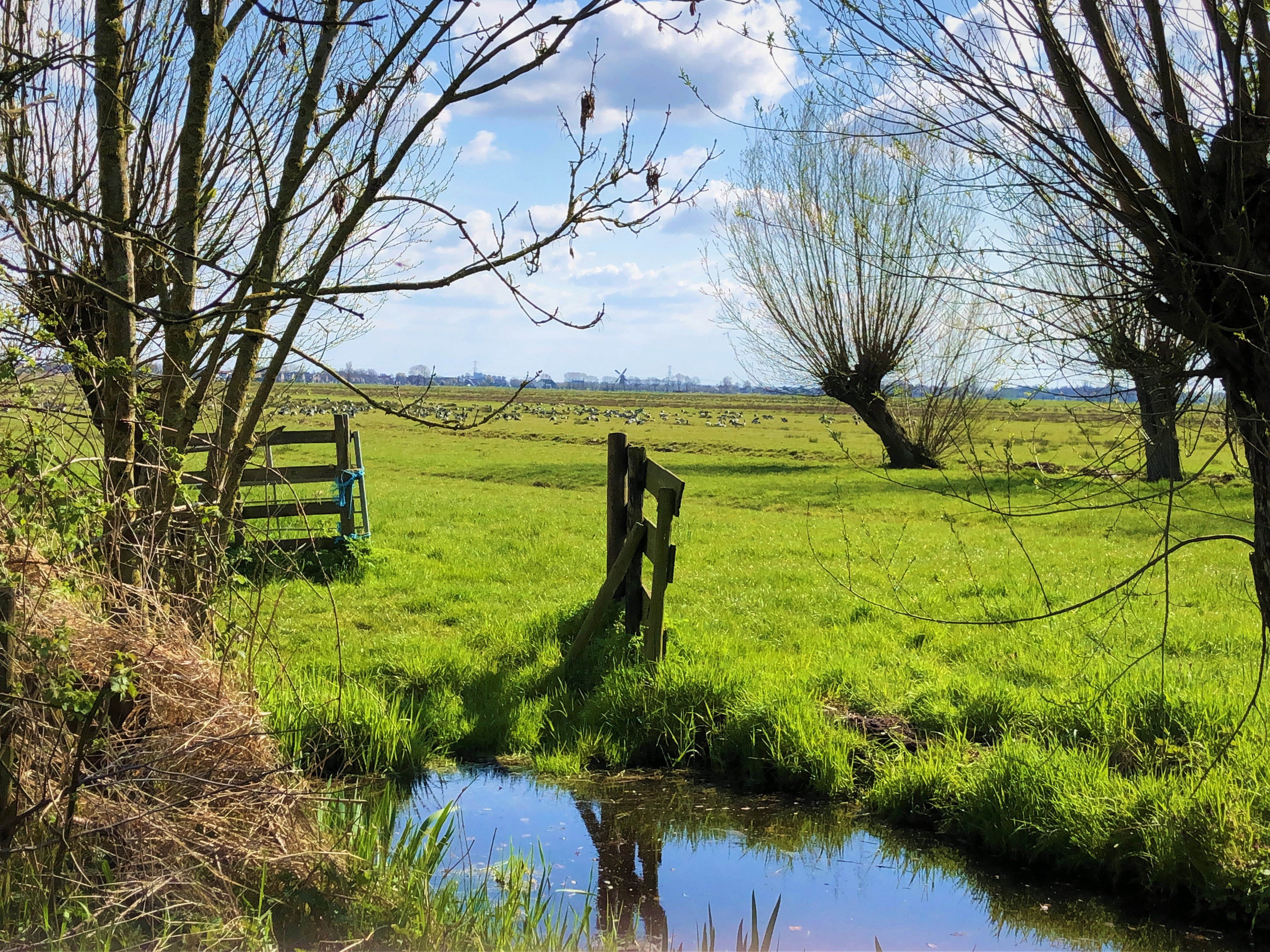 Natuurhuisje in Brandwijk