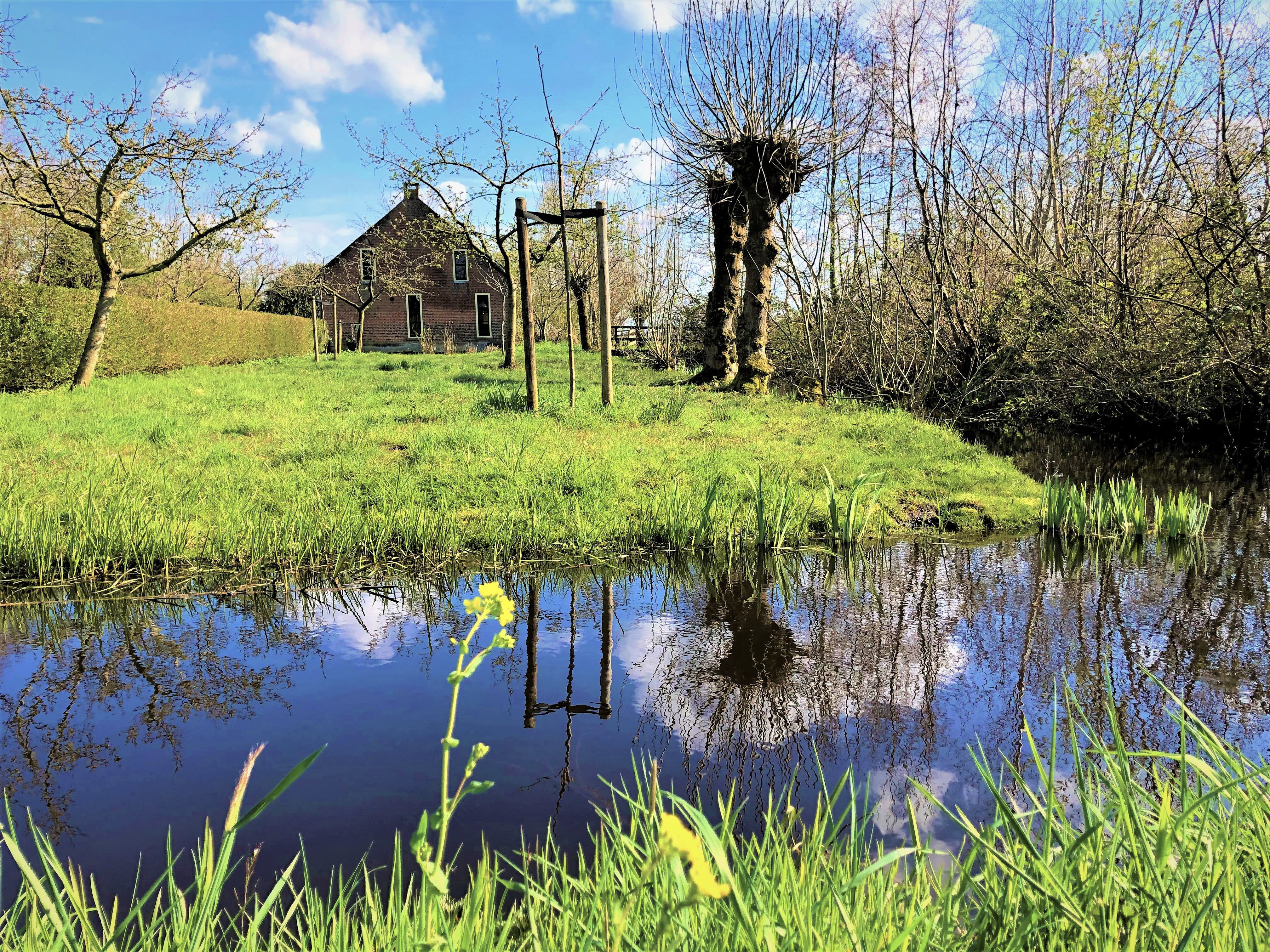 Natuurhuisje in Brandwijk