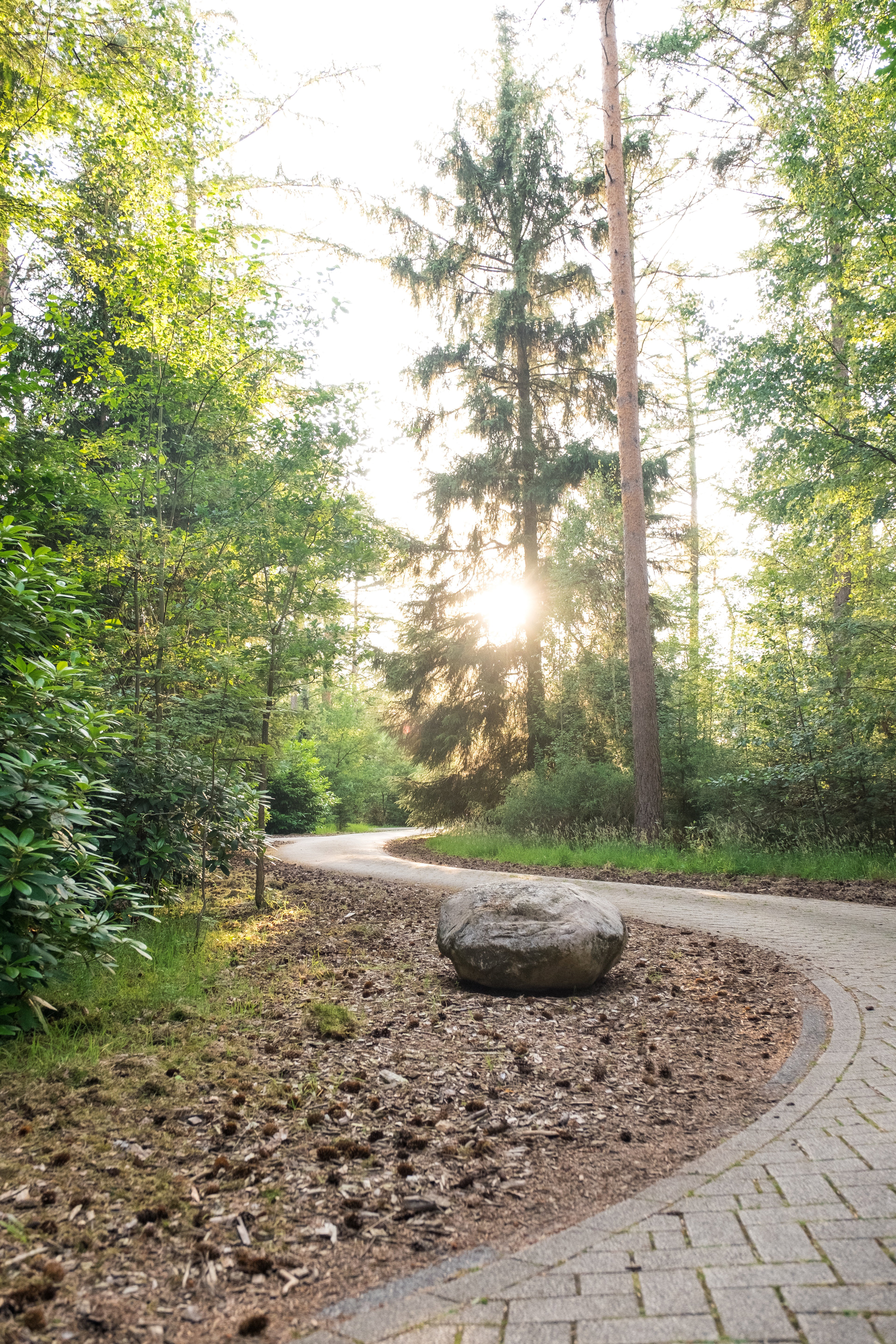 Nature house in Deurningen