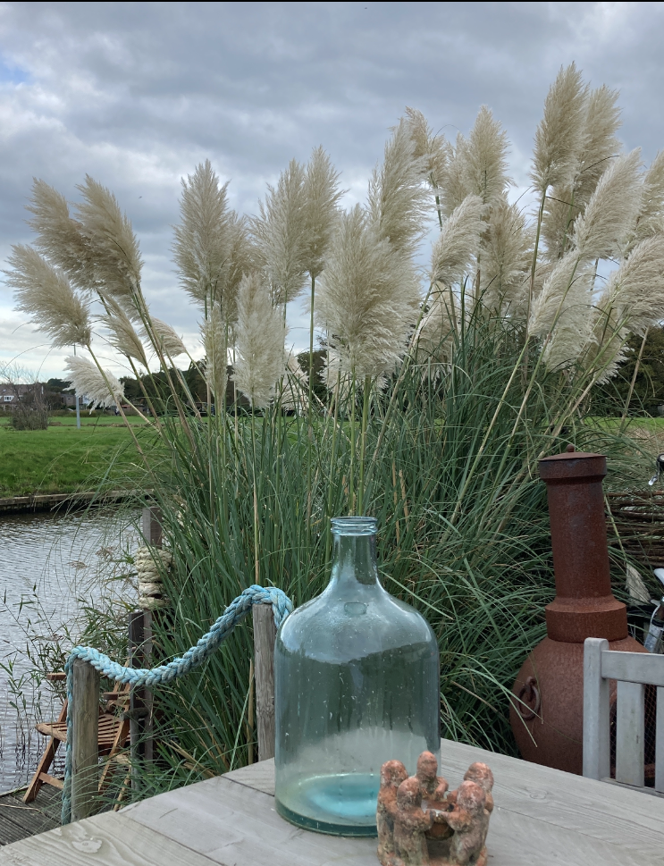 Natuurhuisje in Groet