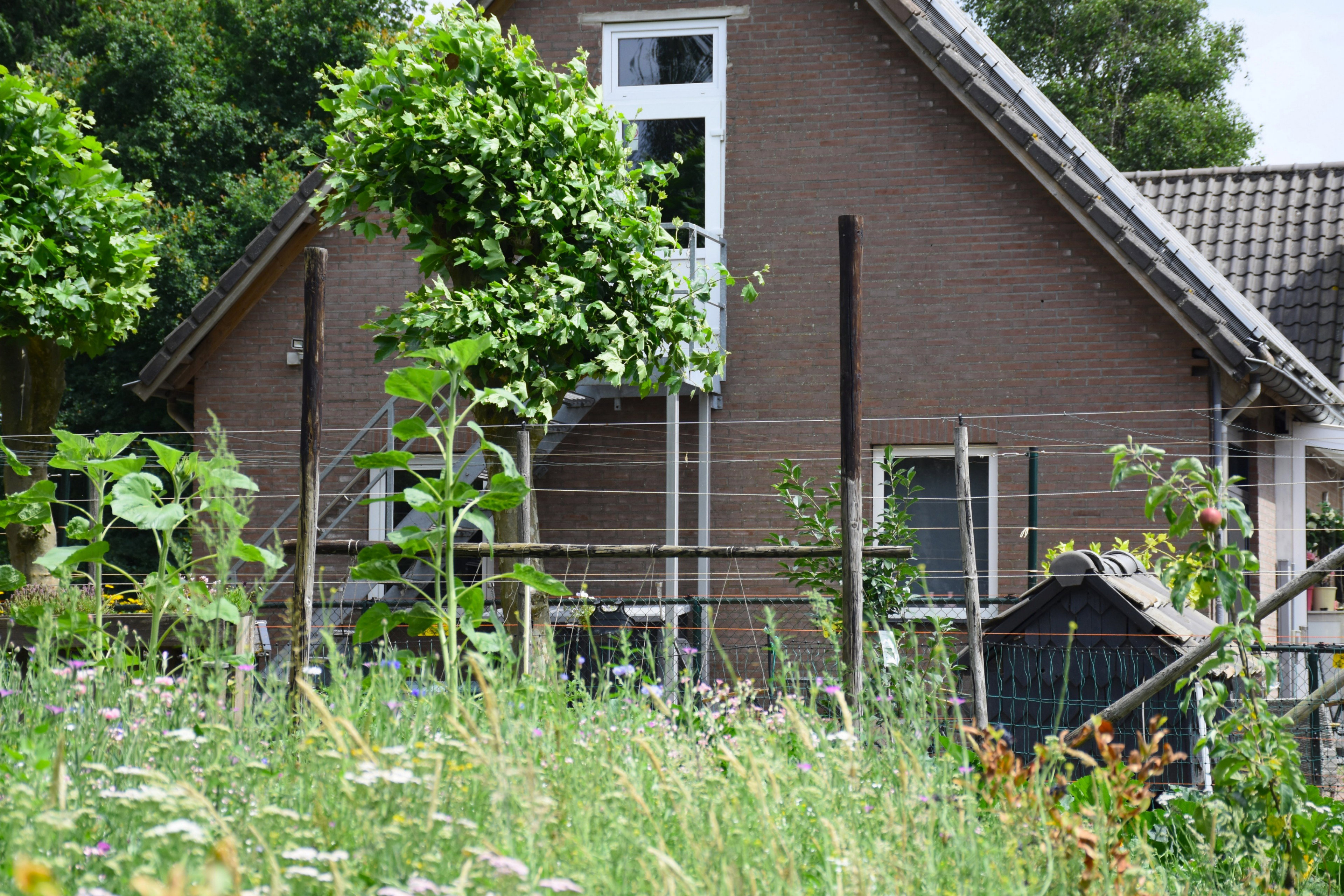 Casa nella natura a Baexem