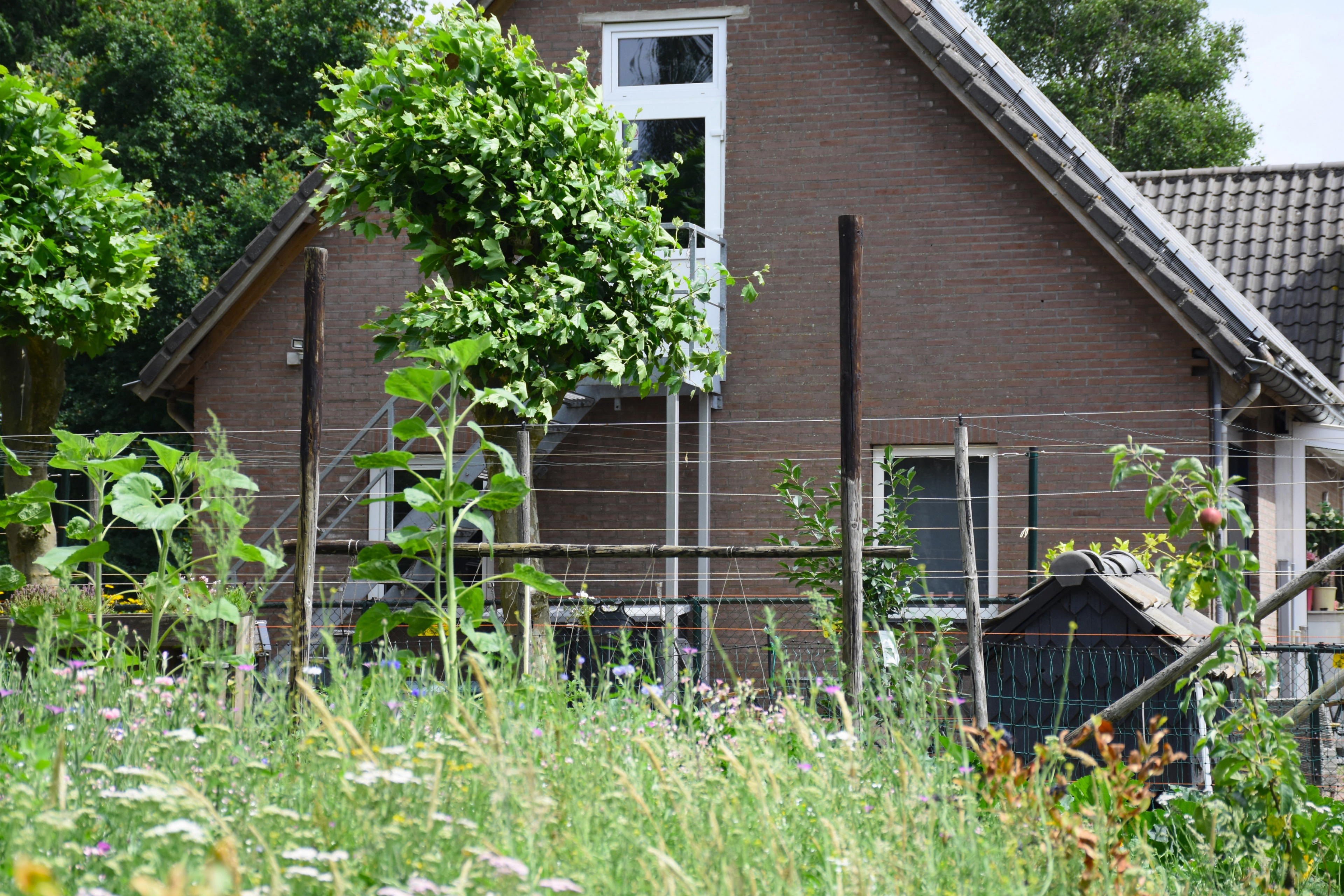 Nature house in Baexem