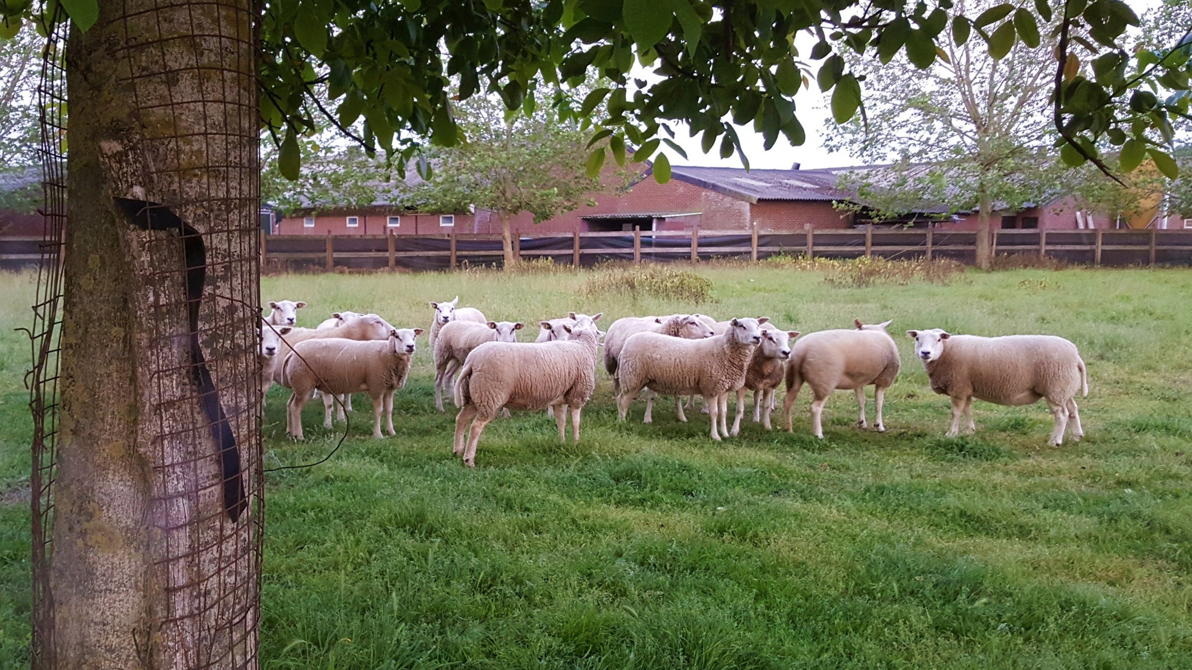 Natuurhuisje in Baexem