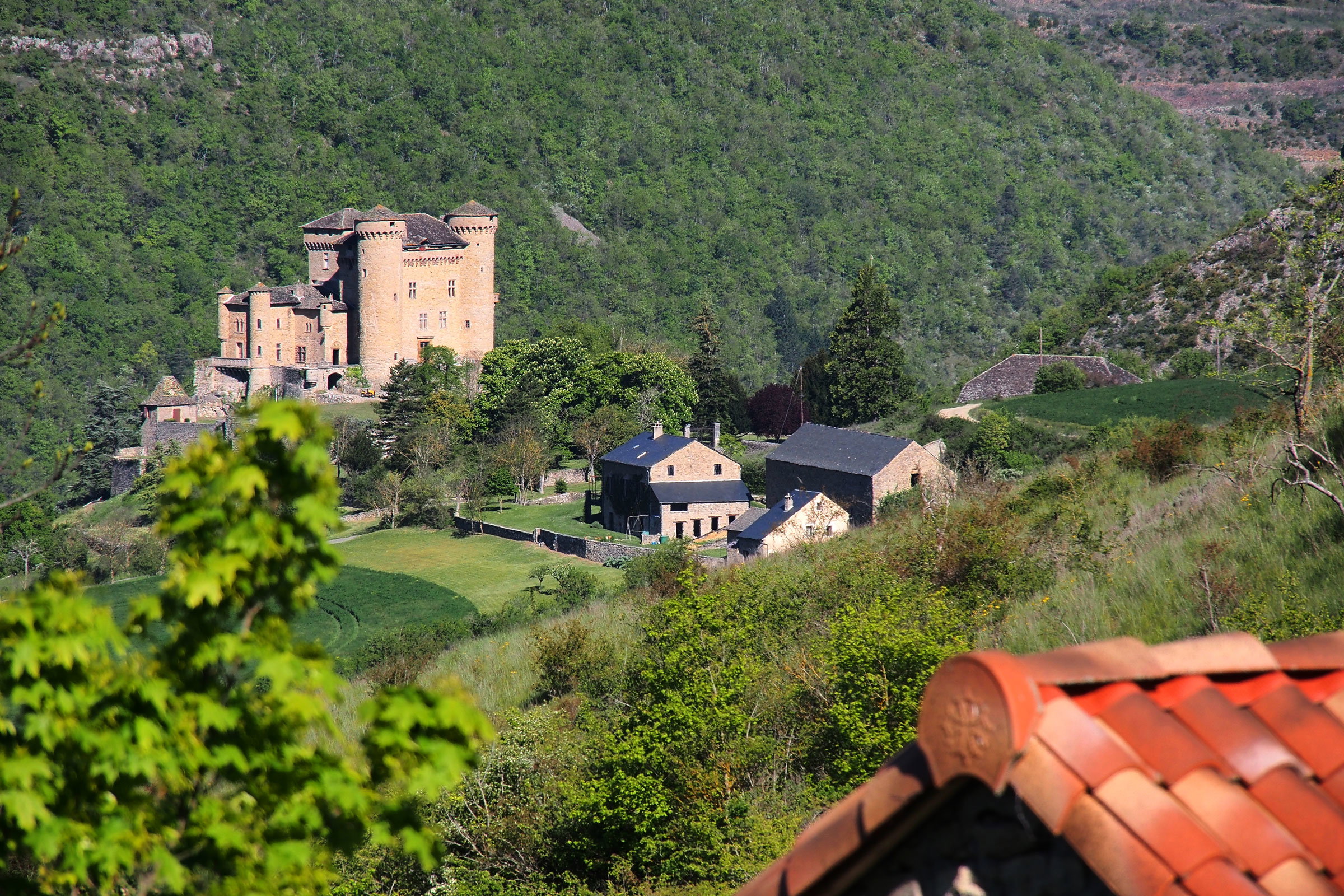 Maison nature à Compeyre