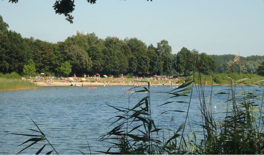 - image: 33