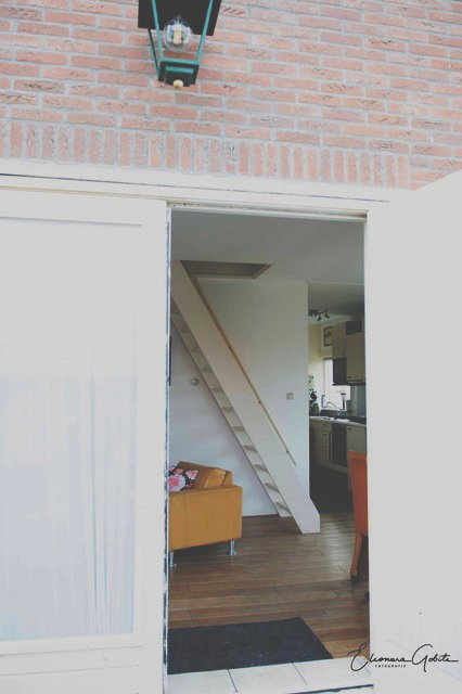 - image: 14