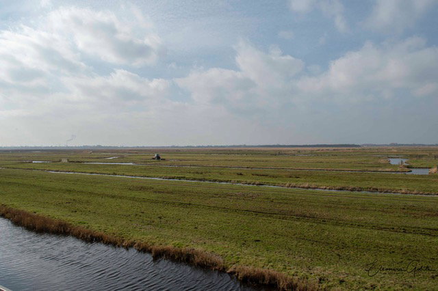 Naturhäuschen in Landsmeer