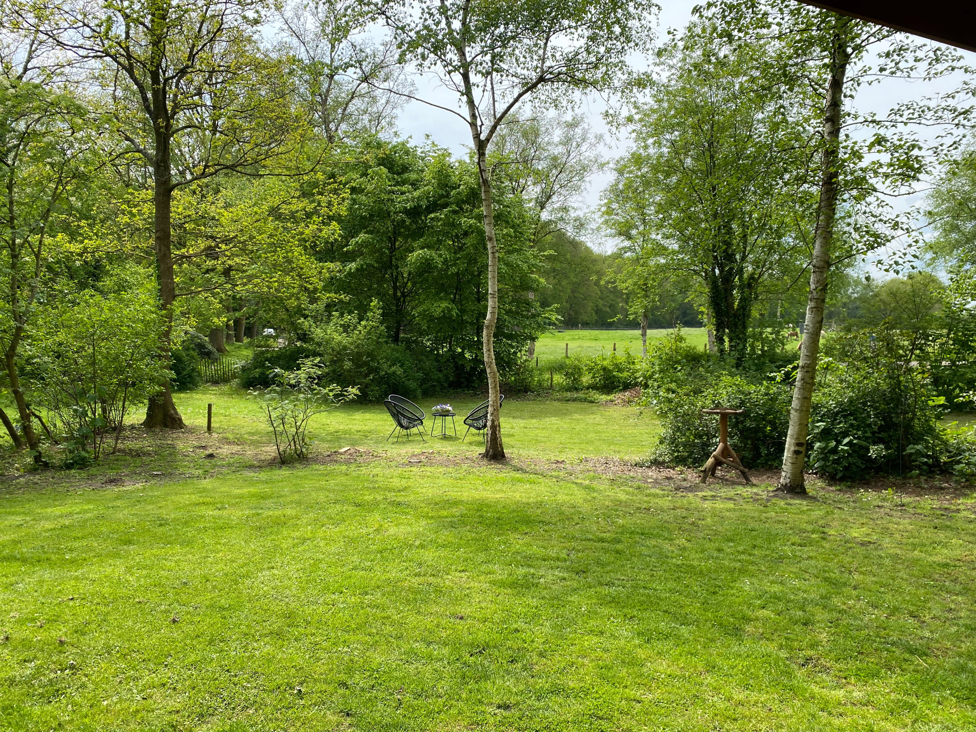 Naturhäuschen in Dwingeloo