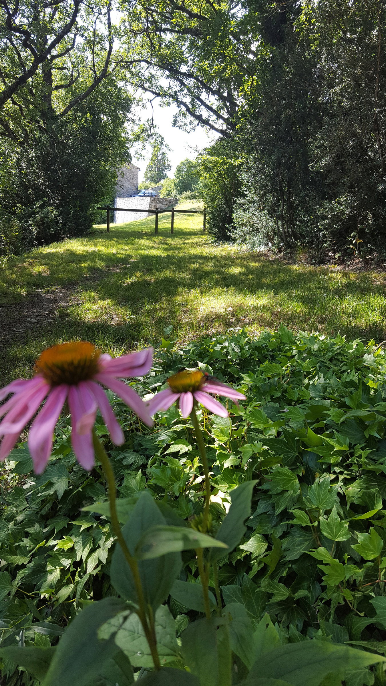 Maison nature à Compeyre