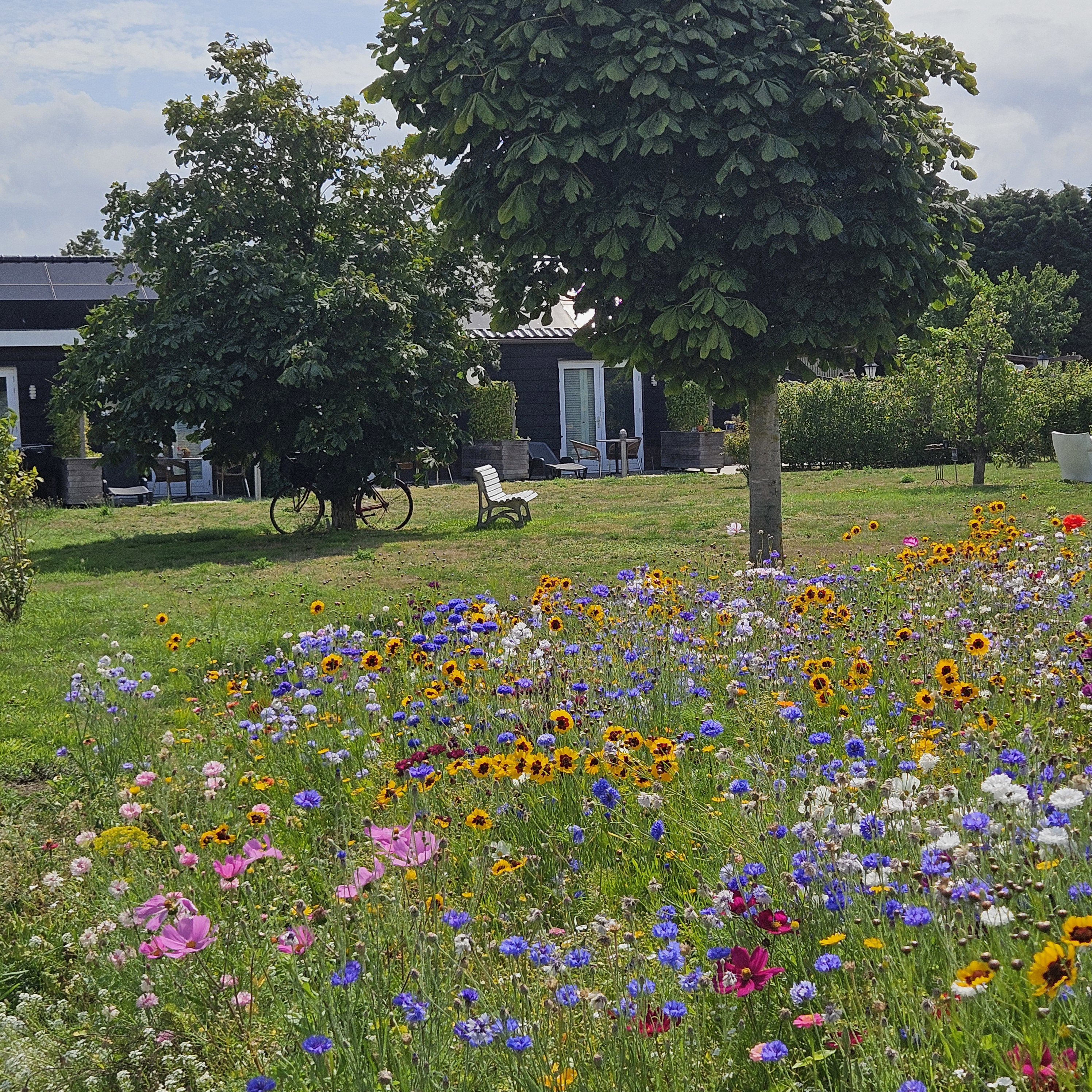 Natuurhuisje in Sommelsdijk