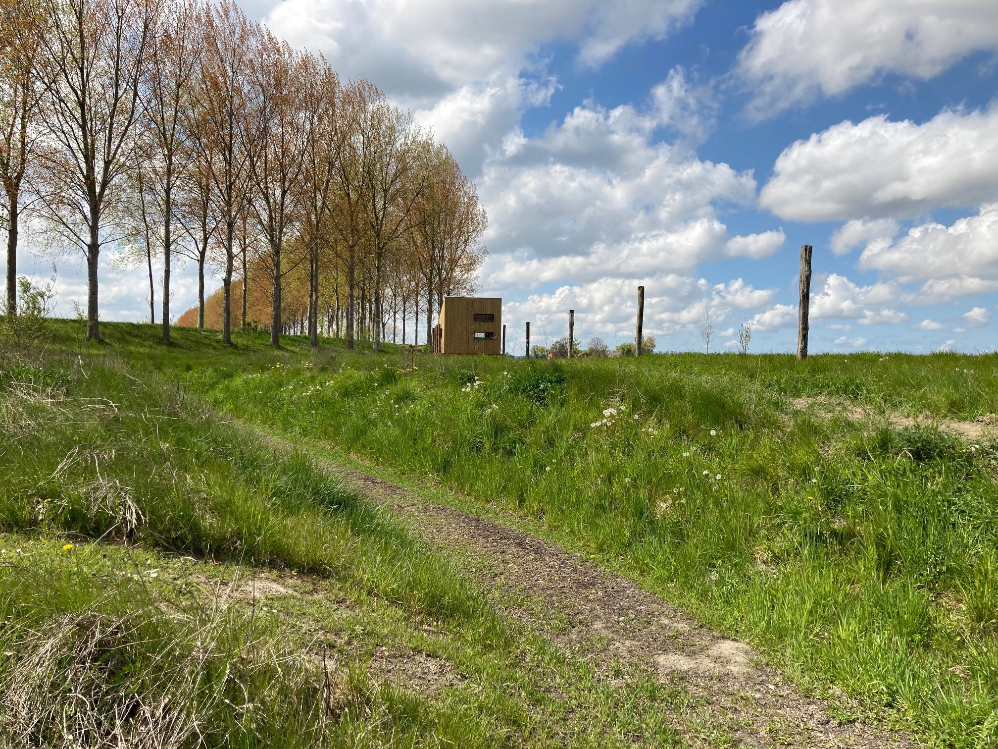 - image: 12