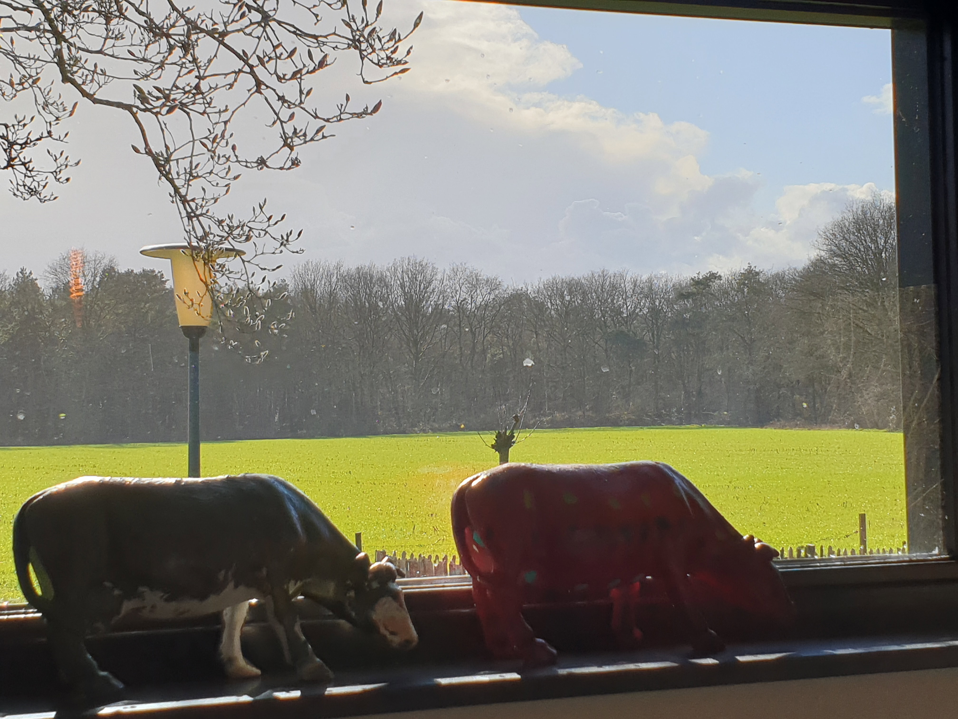 Naturhäuschen in Knegsel