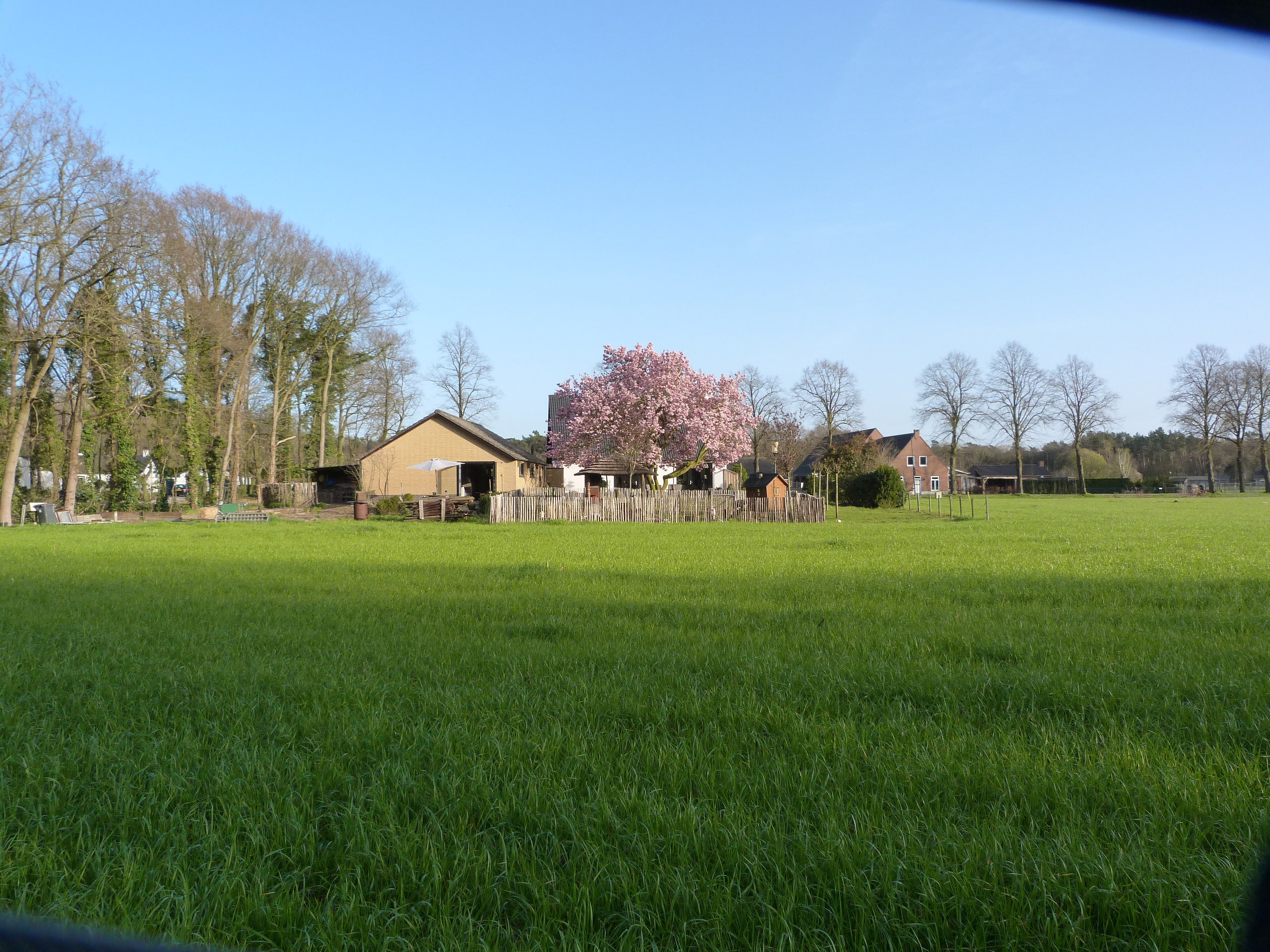 Naturhäuschen in Knegsel