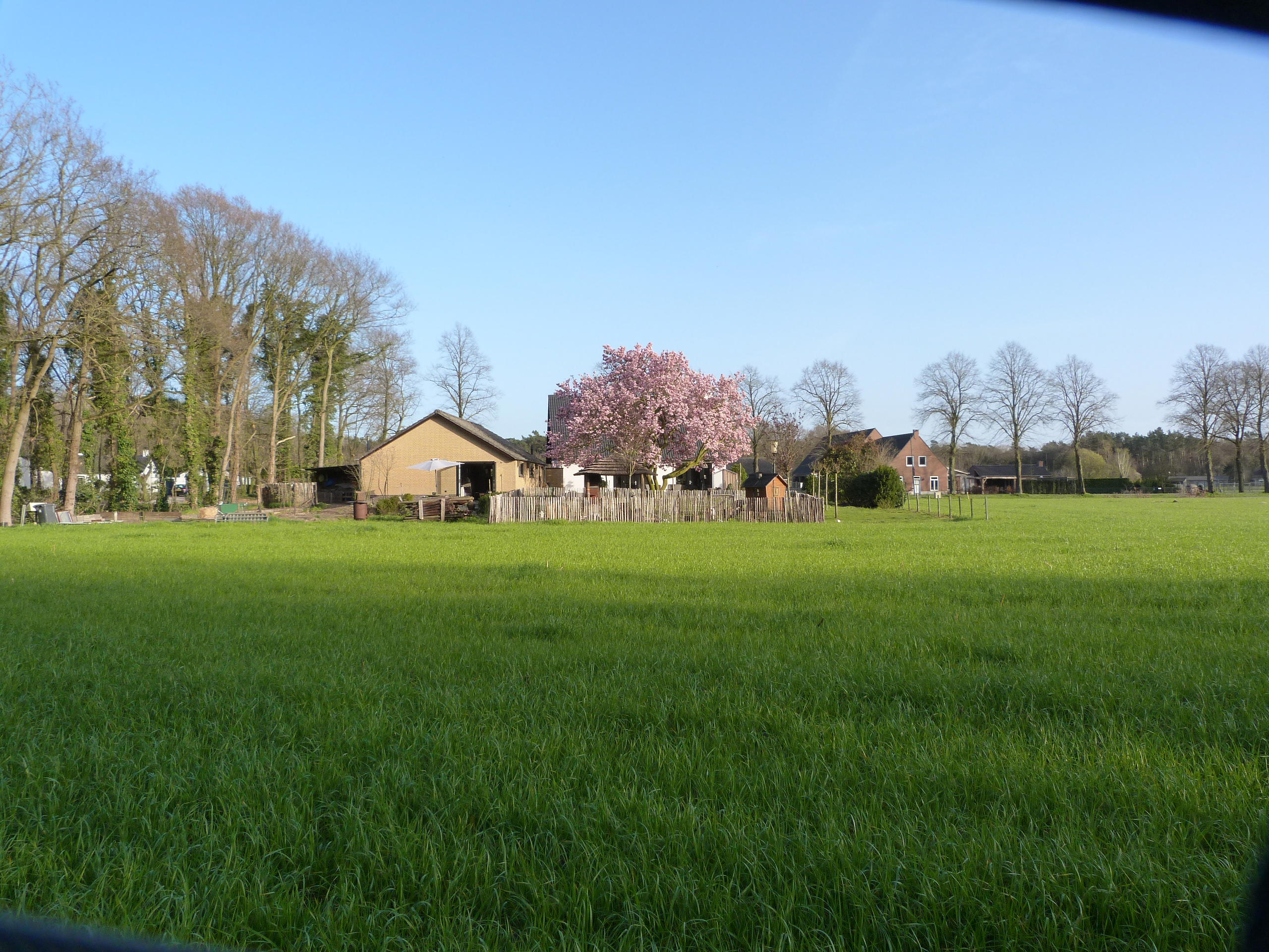 Nature house in Knegsel