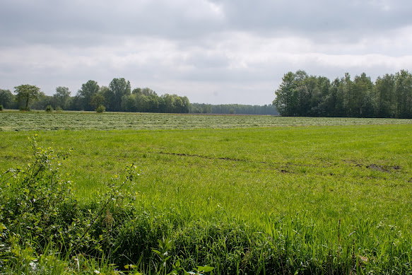 - image: 27