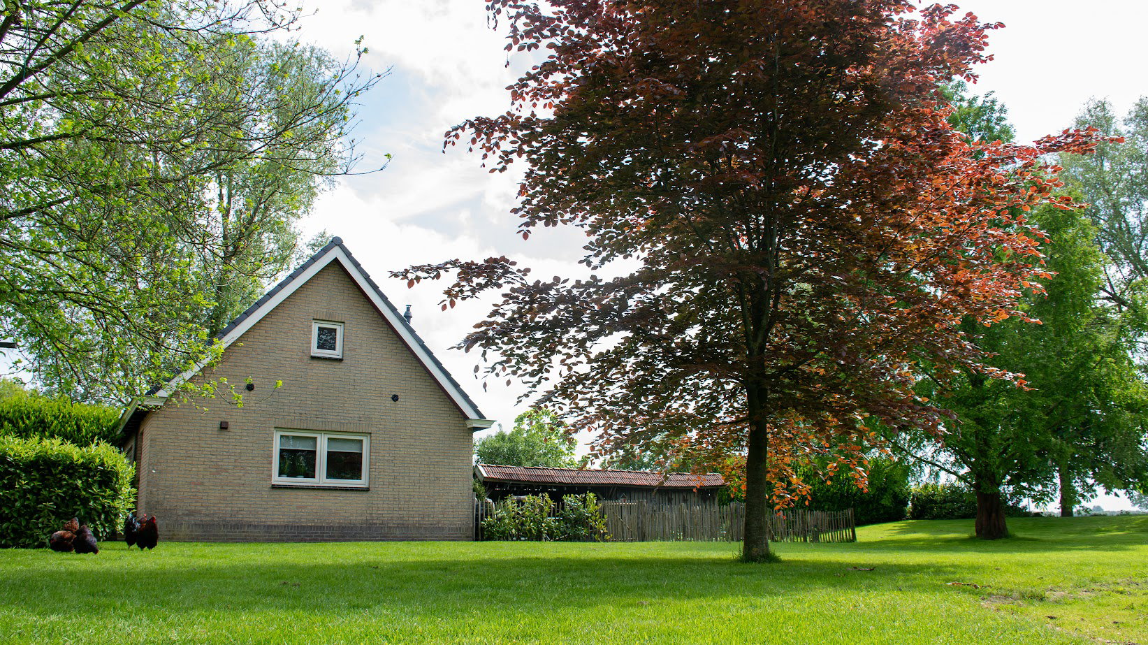 Naturhäuschen in Hoornsterzwaag