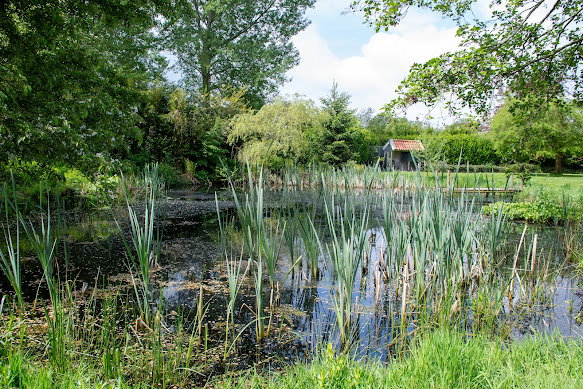 Naturhäuschen in Hoornsterzwaag
