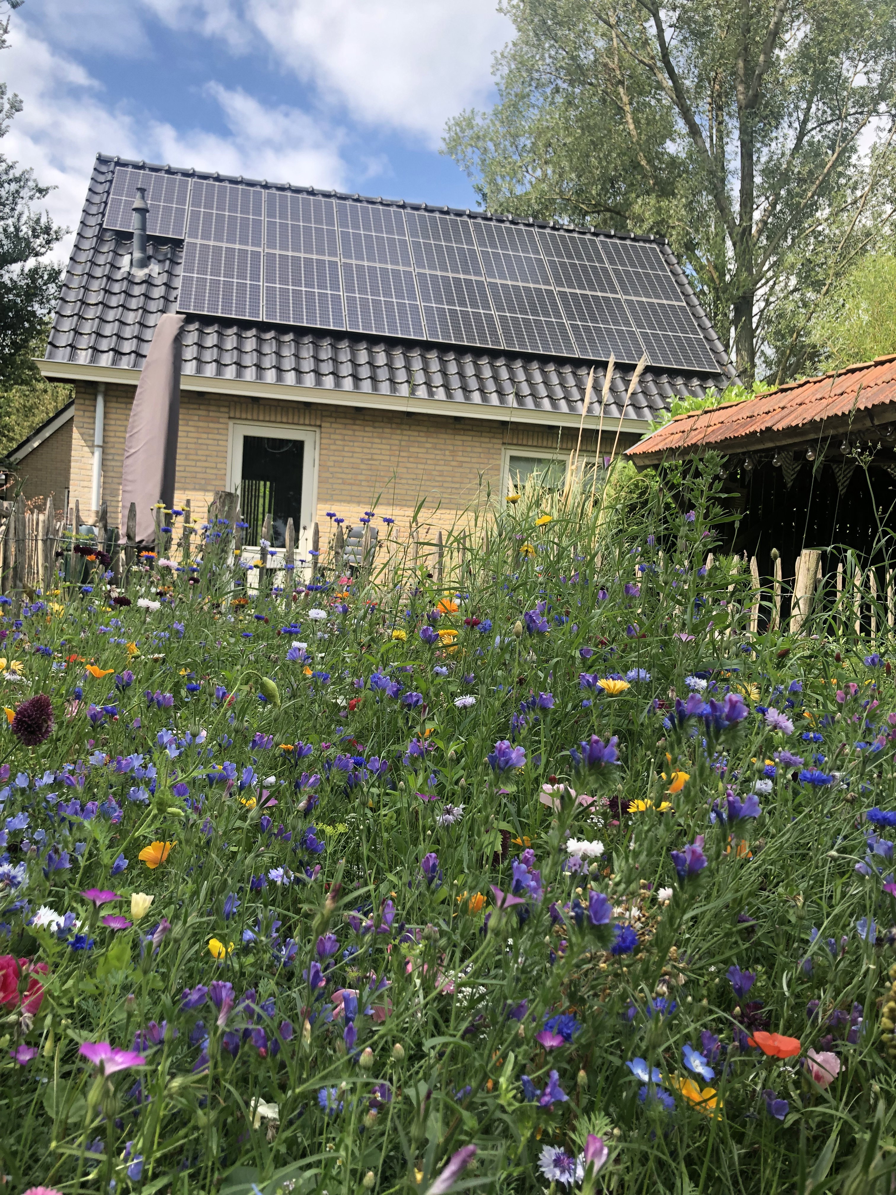 Naturhäuschen in Hoornsterzwaag